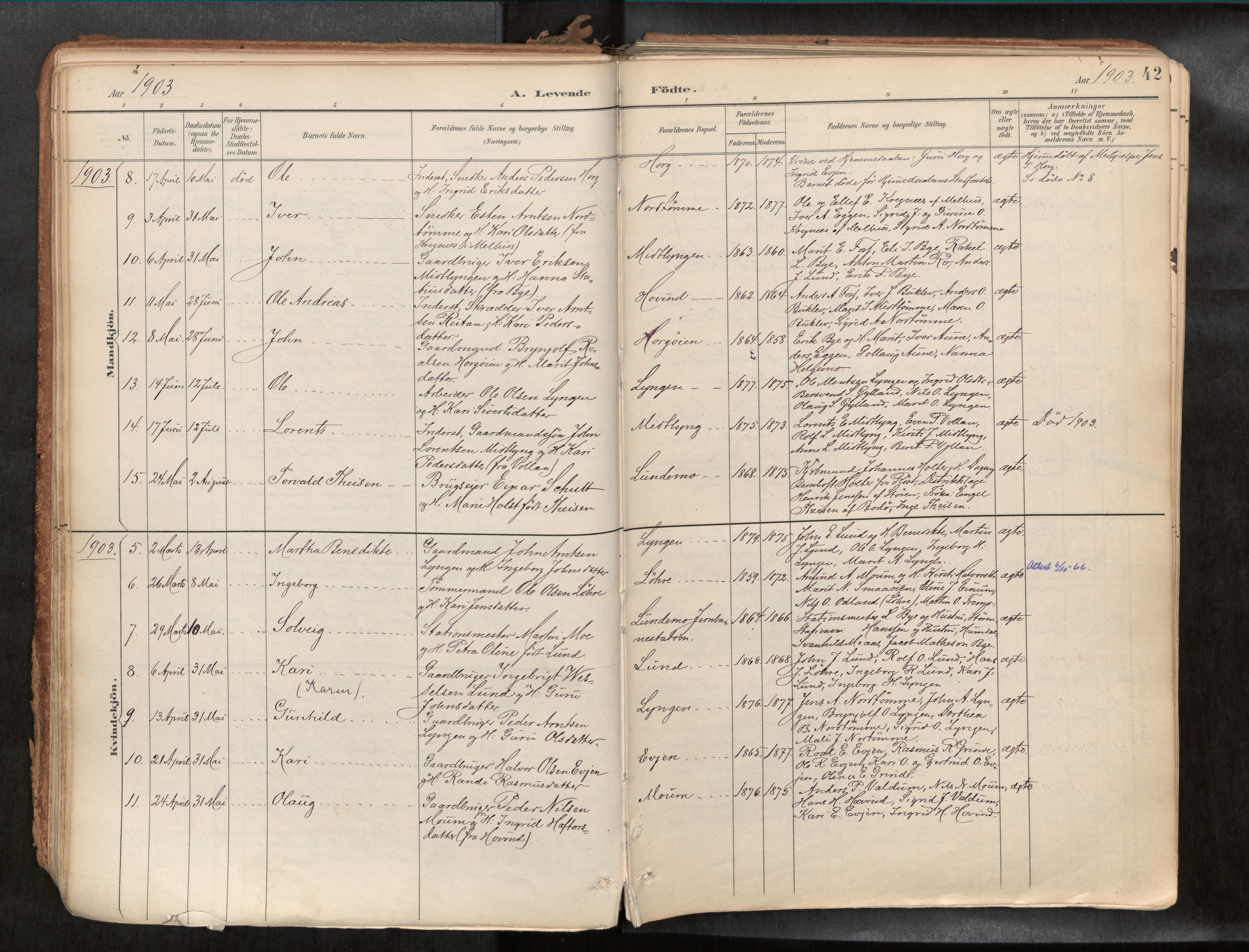 Ministerialprotokoller, klokkerbøker og fødselsregistre - Sør-Trøndelag, SAT/A-1456/692/L1105b: Parish register (official) no. 692A06, 1891-1934, p. 42