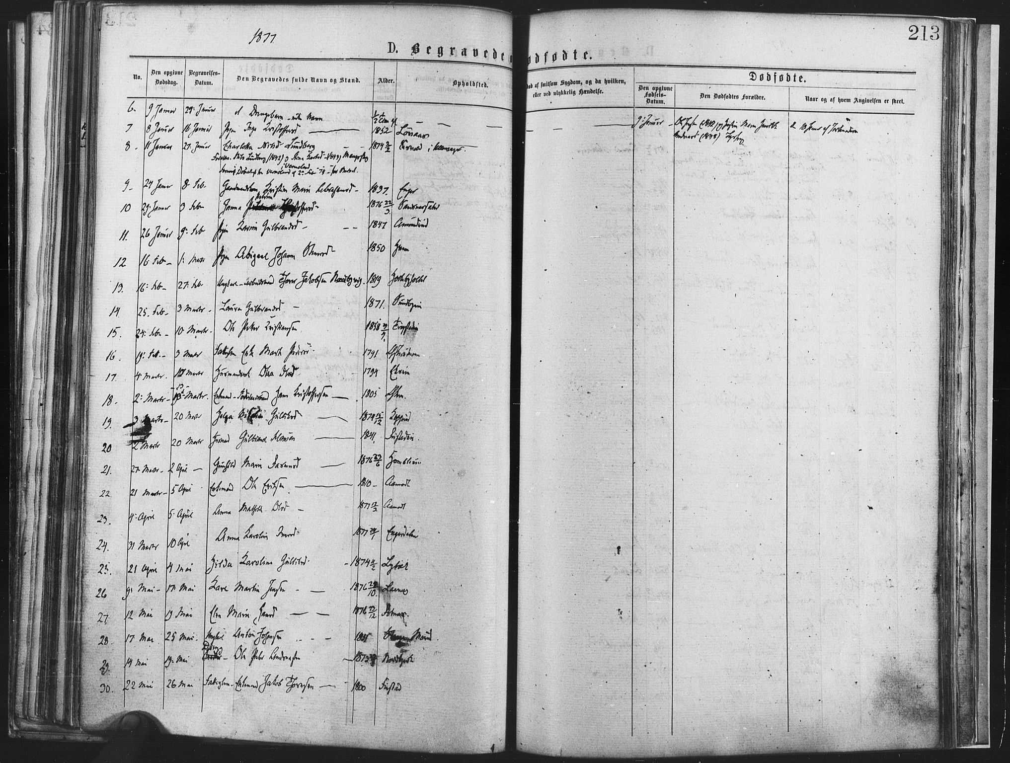 Nannestad prestekontor Kirkebøker, SAO/A-10414a/F/Fa/L0013: Parish register (official) no. I 13, 1873-1880, p. 213