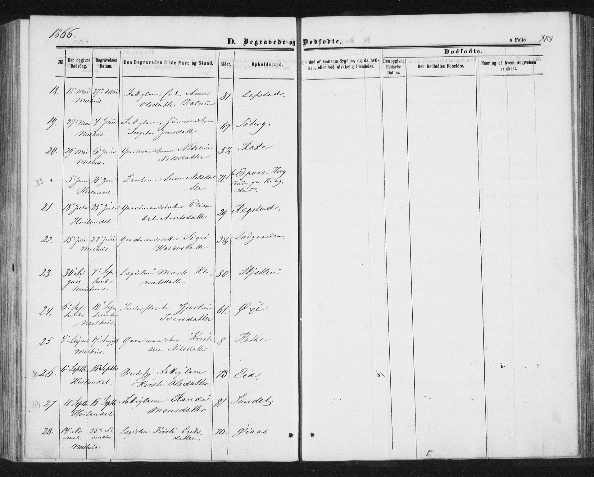 Ministerialprotokoller, klokkerbøker og fødselsregistre - Sør-Trøndelag, AV/SAT-A-1456/691/L1077: Parish register (official) no. 691A09, 1862-1873, p. 383