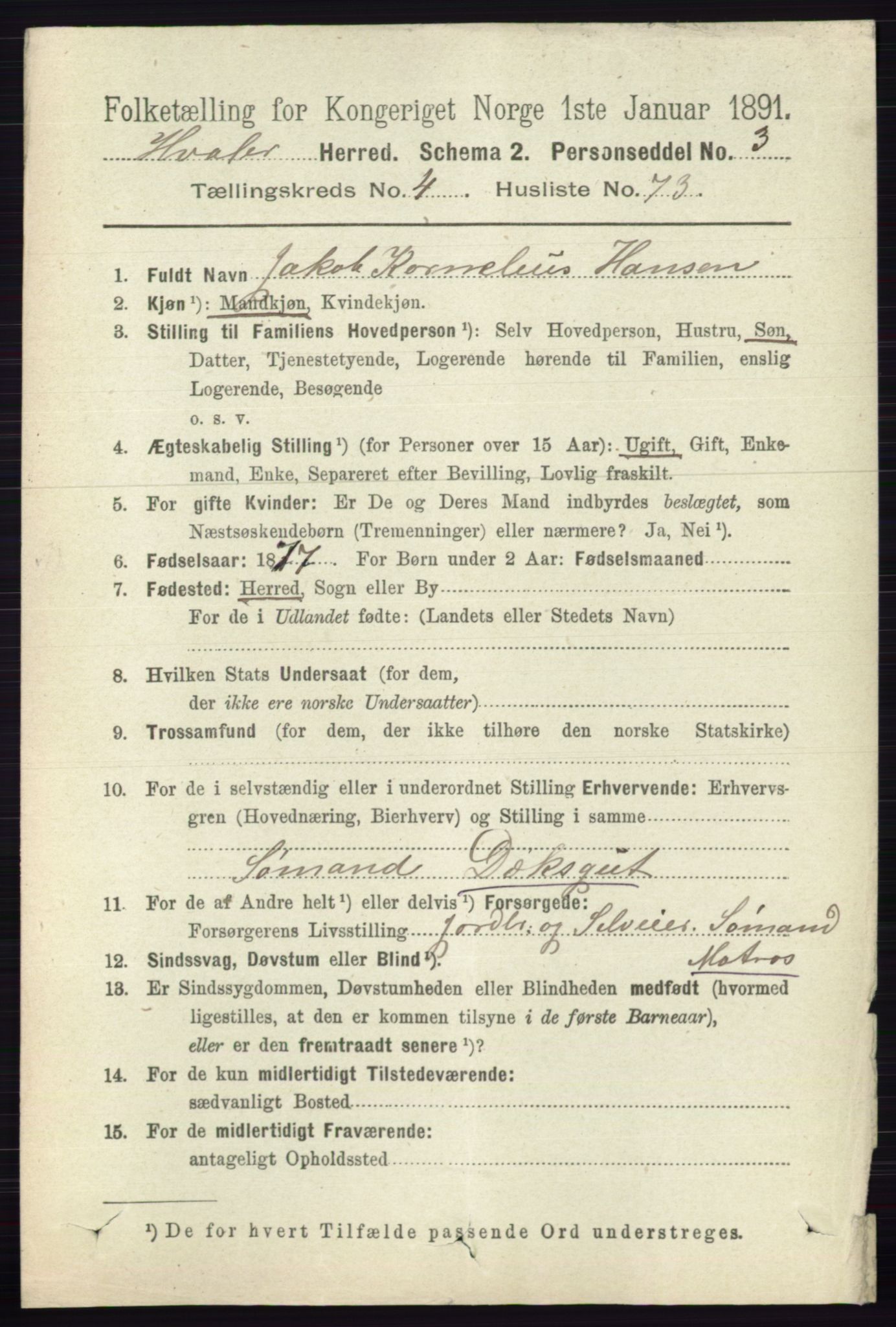 RA, 1891 census for 0111 Hvaler, 1891, p. 3030