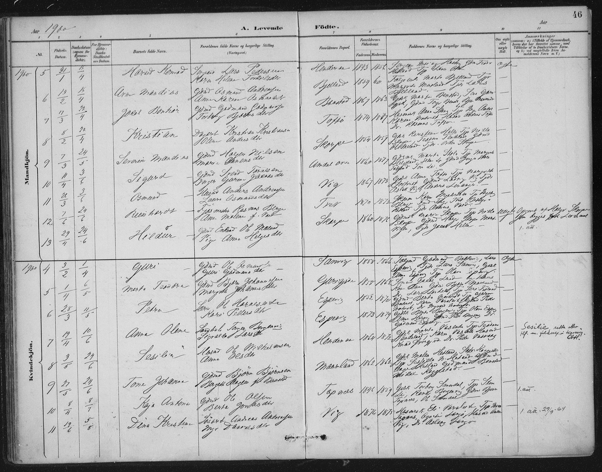 Nedstrand sokneprestkontor, SAST/A-101841/01/IV: Parish register (official) no. A 12, 1887-1915, p. 46
