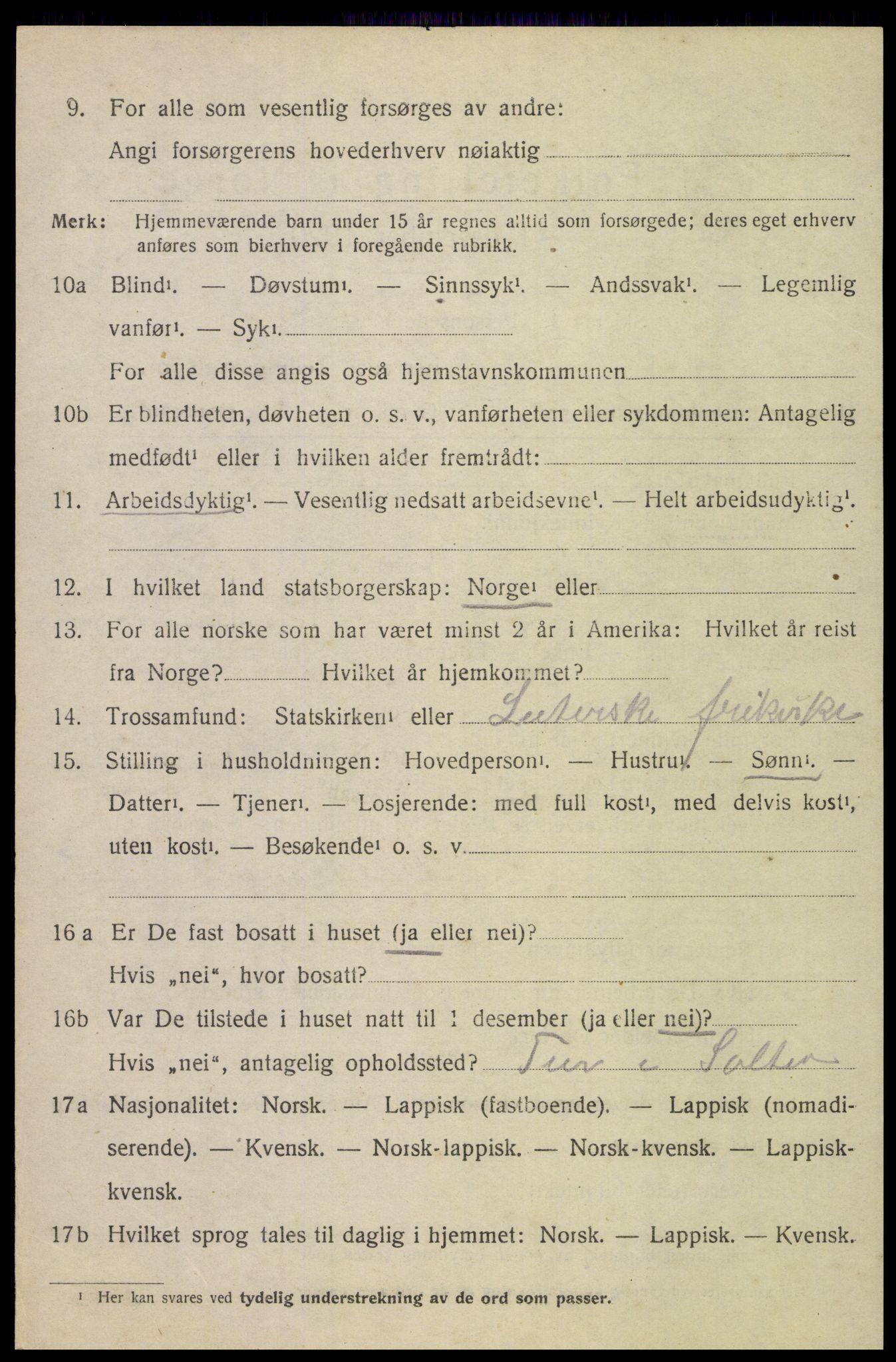 SAT, 1920 census for Bodin, 1920, p. 10885