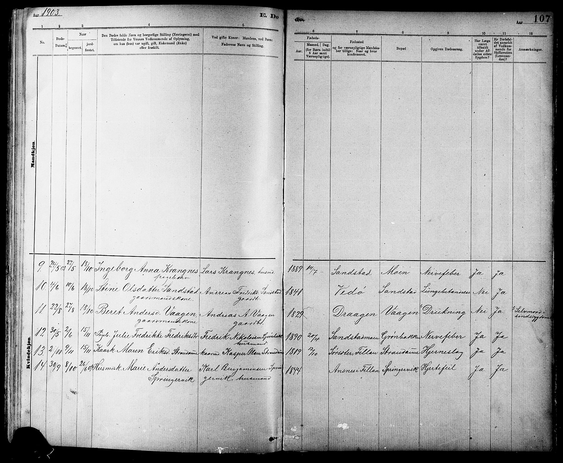 Ministerialprotokoller, klokkerbøker og fødselsregistre - Sør-Trøndelag, SAT/A-1456/639/L0573: Parish register (copy) no. 639C01, 1890-1905, p. 107