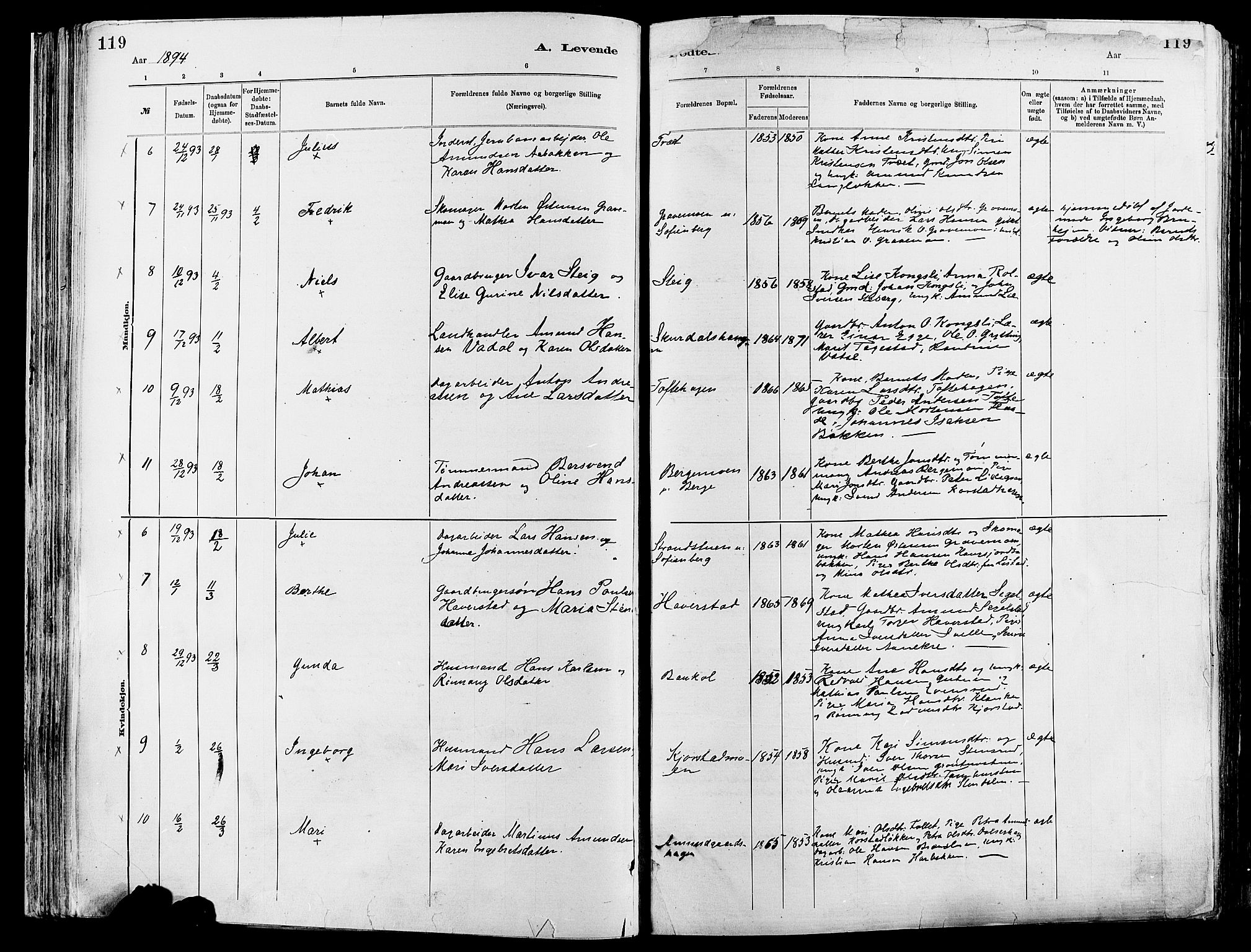 Sør-Fron prestekontor, AV/SAH-PREST-010/H/Ha/Haa/L0003: Parish register (official) no. 3, 1881-1897, p. 119