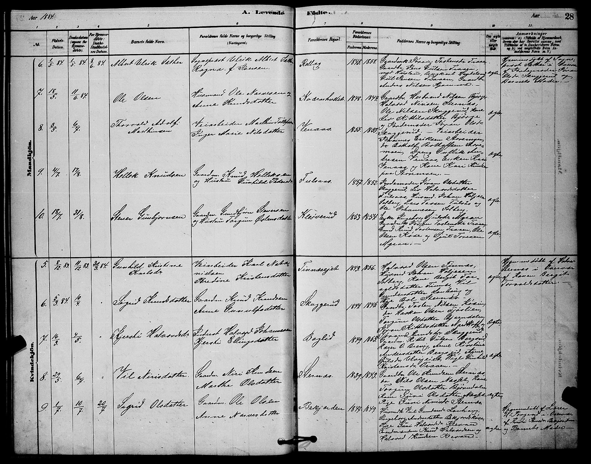 Rollag kirkebøker, AV/SAKO-A-240/G/Ga/L0004: Parish register (copy) no. I 4, 1878-1903, p. 28