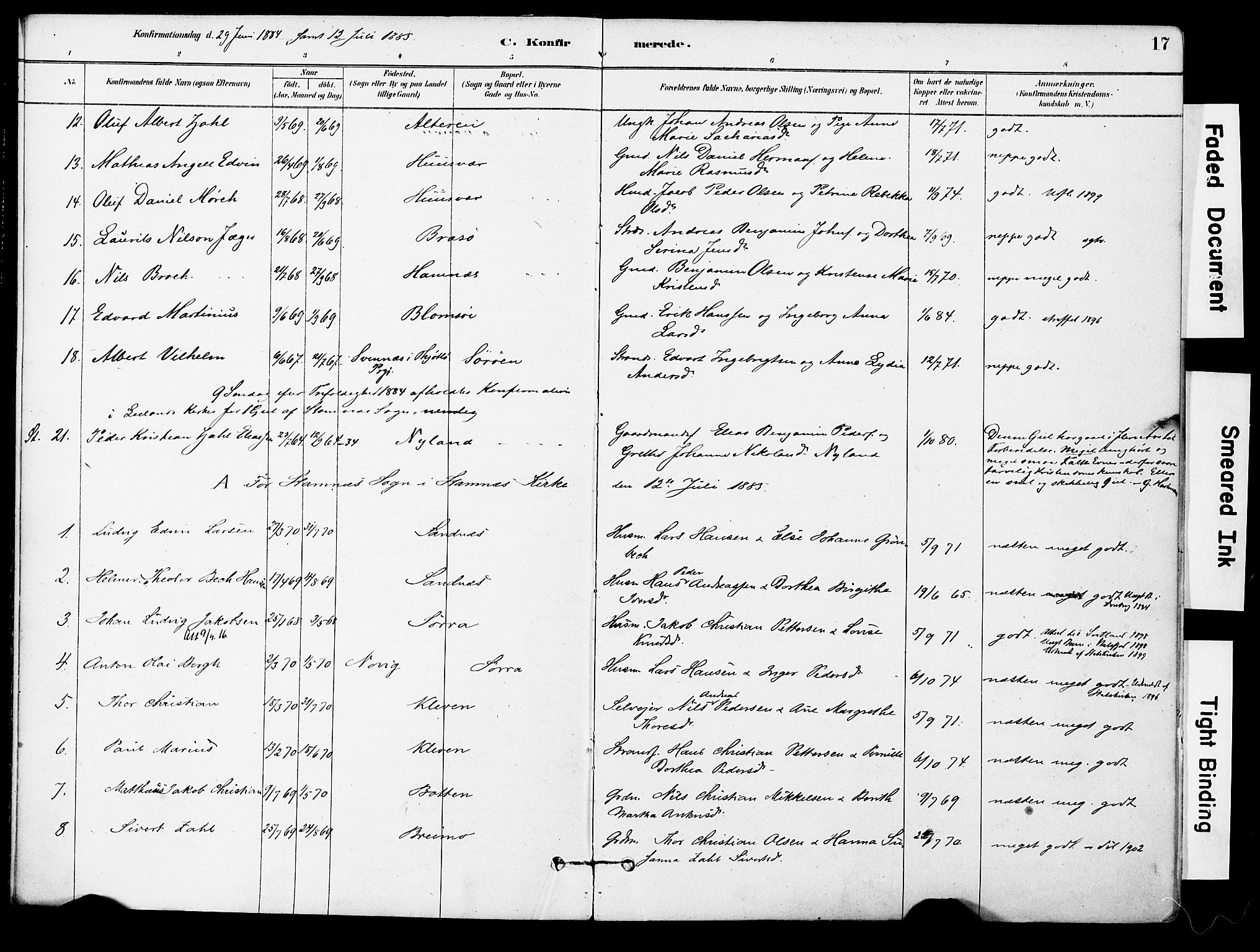 Ministerialprotokoller, klokkerbøker og fødselsregistre - Nordland, AV/SAT-A-1459/830/L0450: Parish register (official) no. 830A14, 1879-1896, p. 17