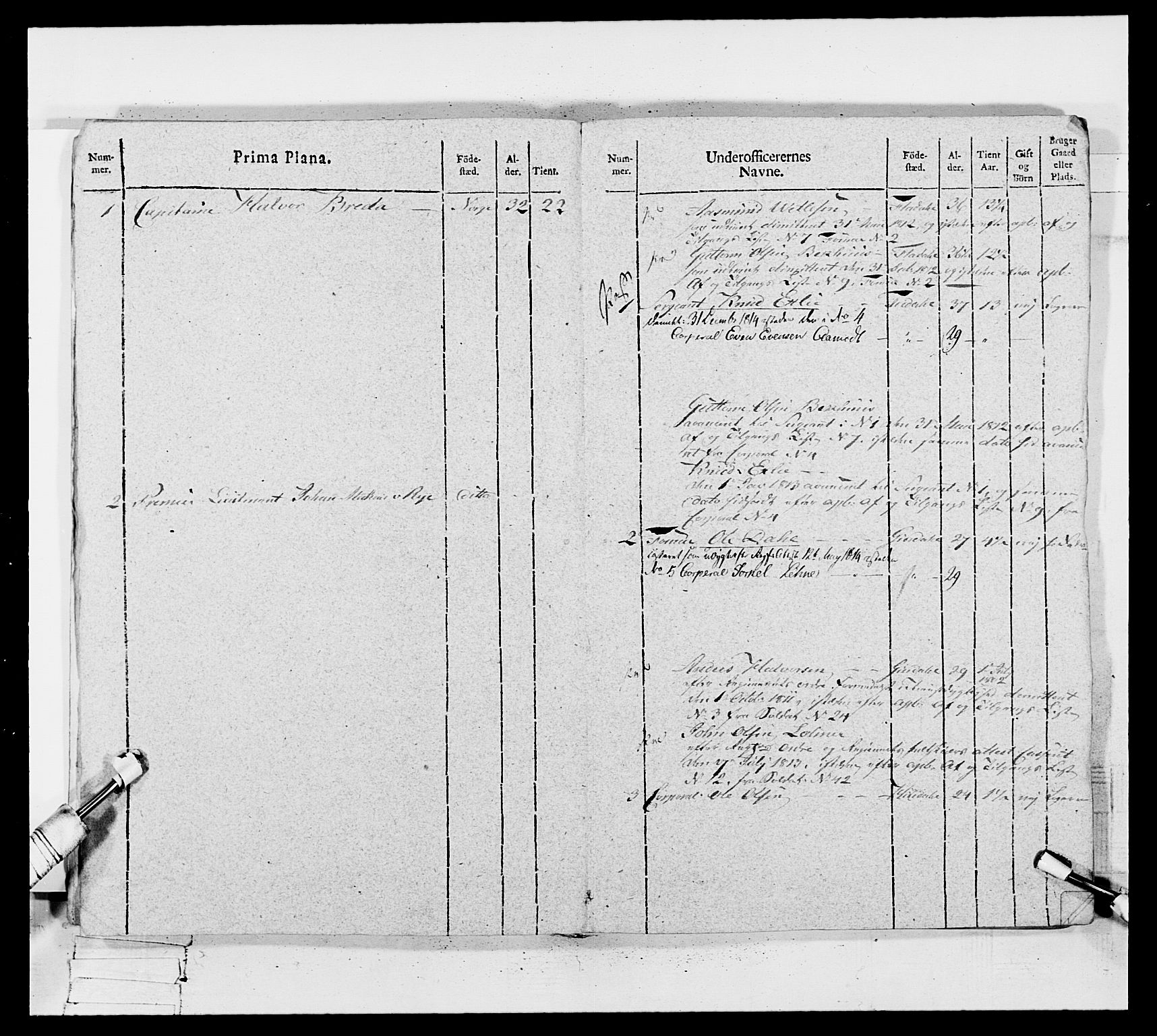 Generalitets- og kommissariatskollegiet, Det kongelige norske kommissariatskollegium, AV/RA-EA-5420/E/Eh/L0117: Telemarkske nasjonale infanteriregiment, 1812-1814, p. 218