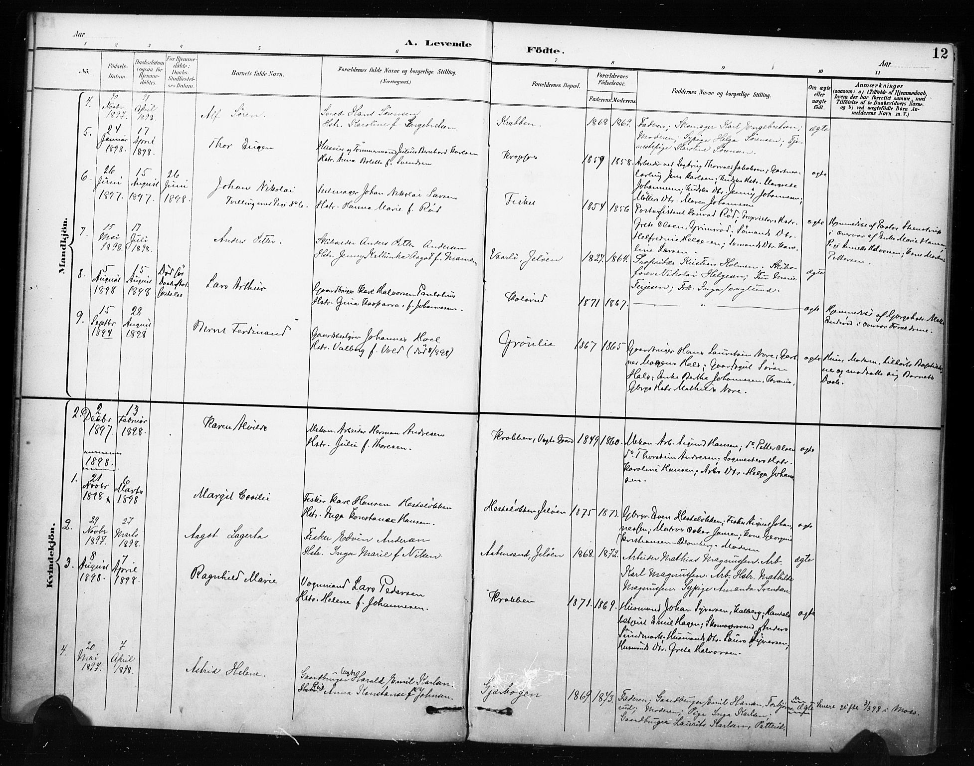 Moss prestekontor Kirkebøker, AV/SAO-A-2003/F/Fc/L0002: Parish register (official) no. III 2, 1894-1906, p. 12