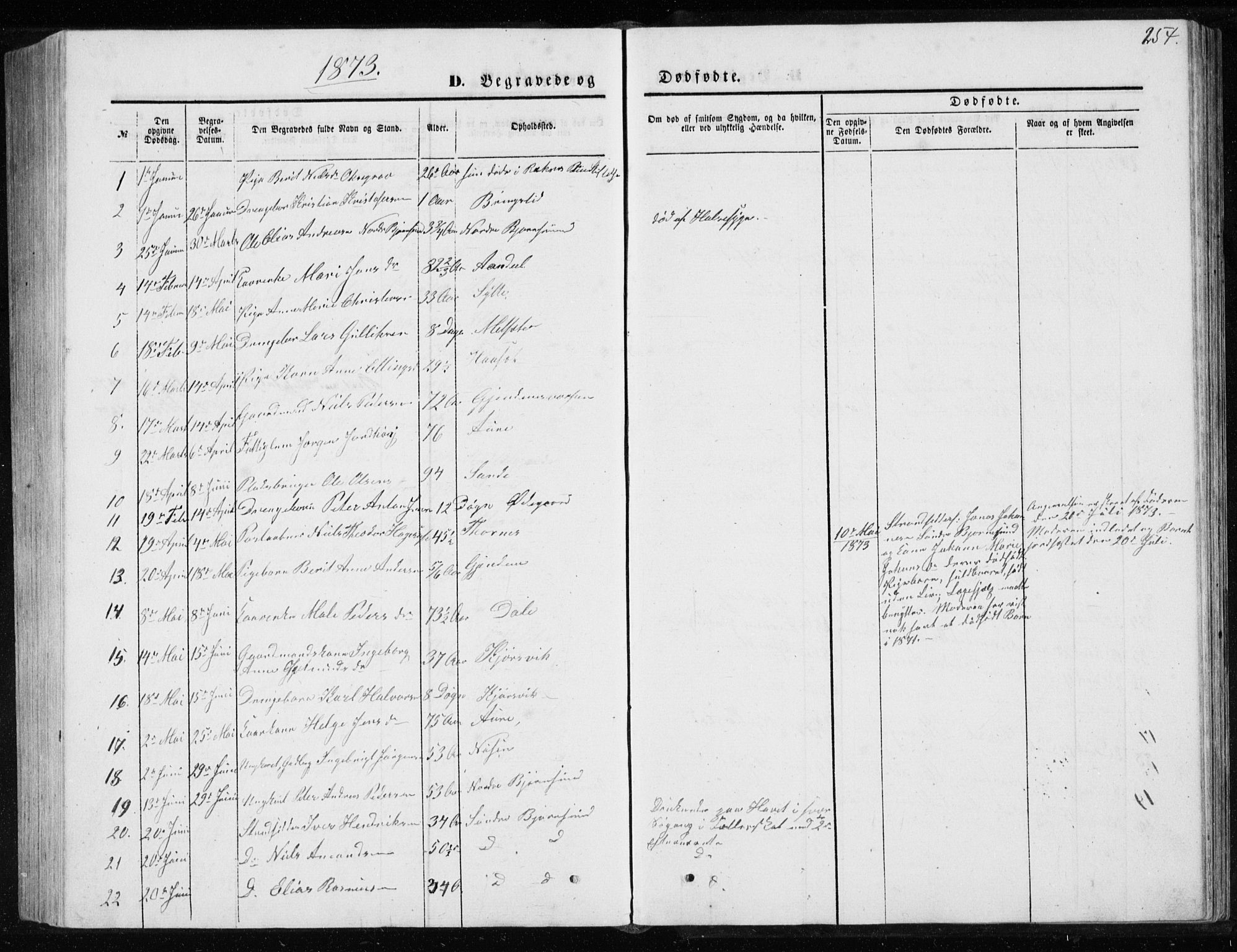 Ministerialprotokoller, klokkerbøker og fødselsregistre - Møre og Romsdal, SAT/A-1454/565/L0754: Parish register (copy) no. 565C03, 1870-1896, p. 254