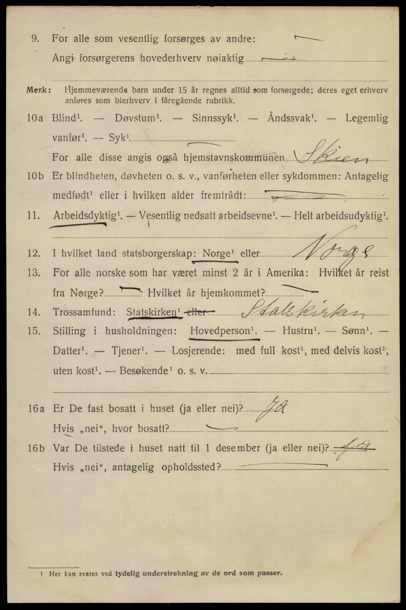 SAKO, 1920 census for Skien, 1920, p. 28595