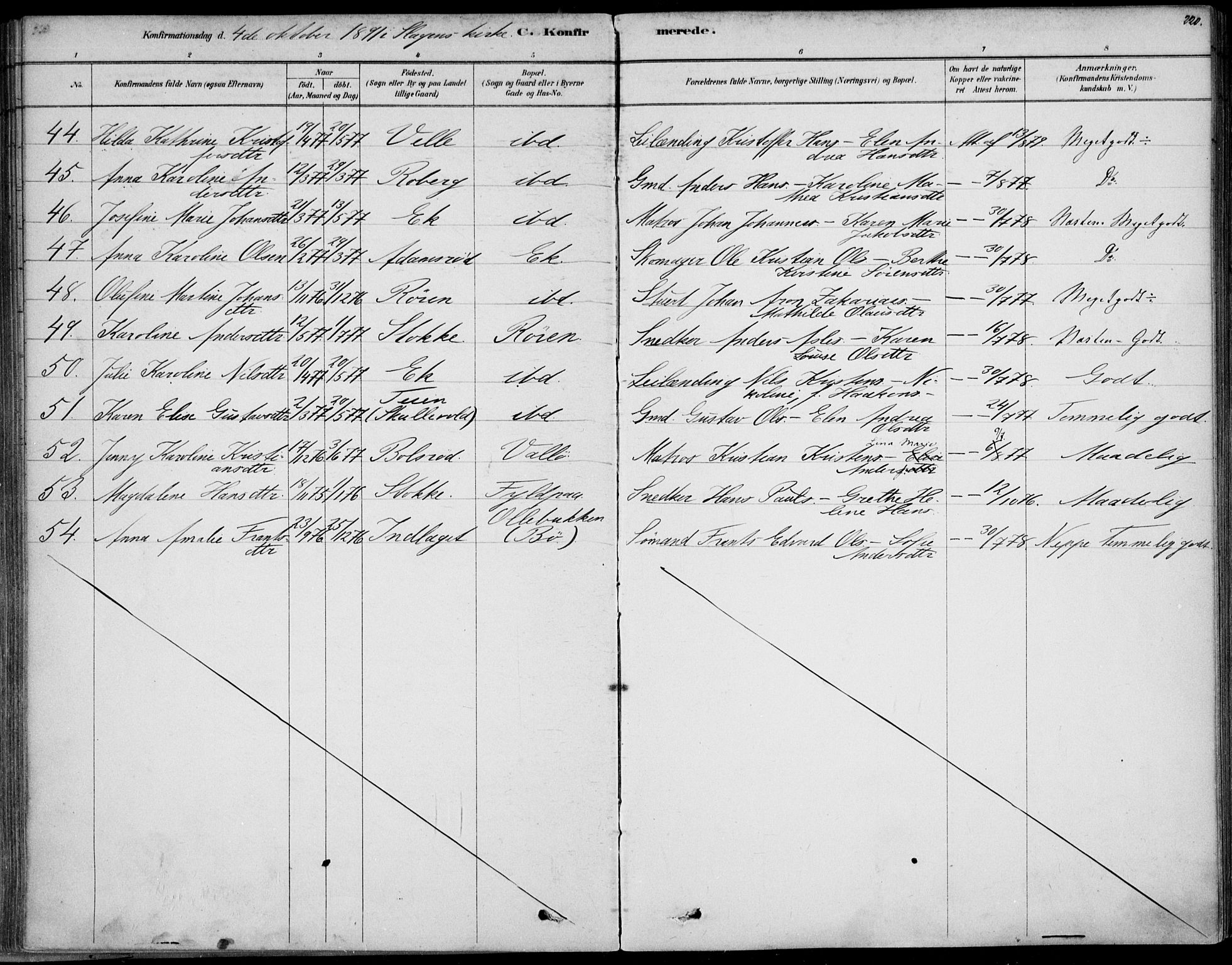 Sem kirkebøker, AV/SAKO-A-5/F/Fb/L0004: Parish register (official) no. II 4, 1878-1891, p. 220