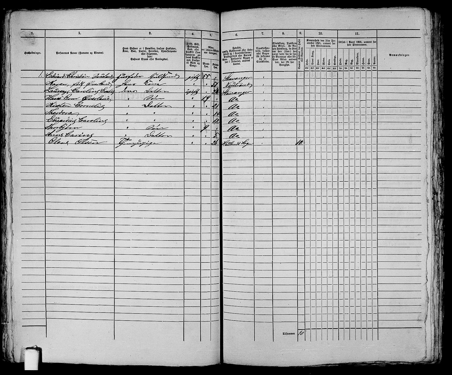 RA, 1865 census for Stavanger, 1865, p. 183