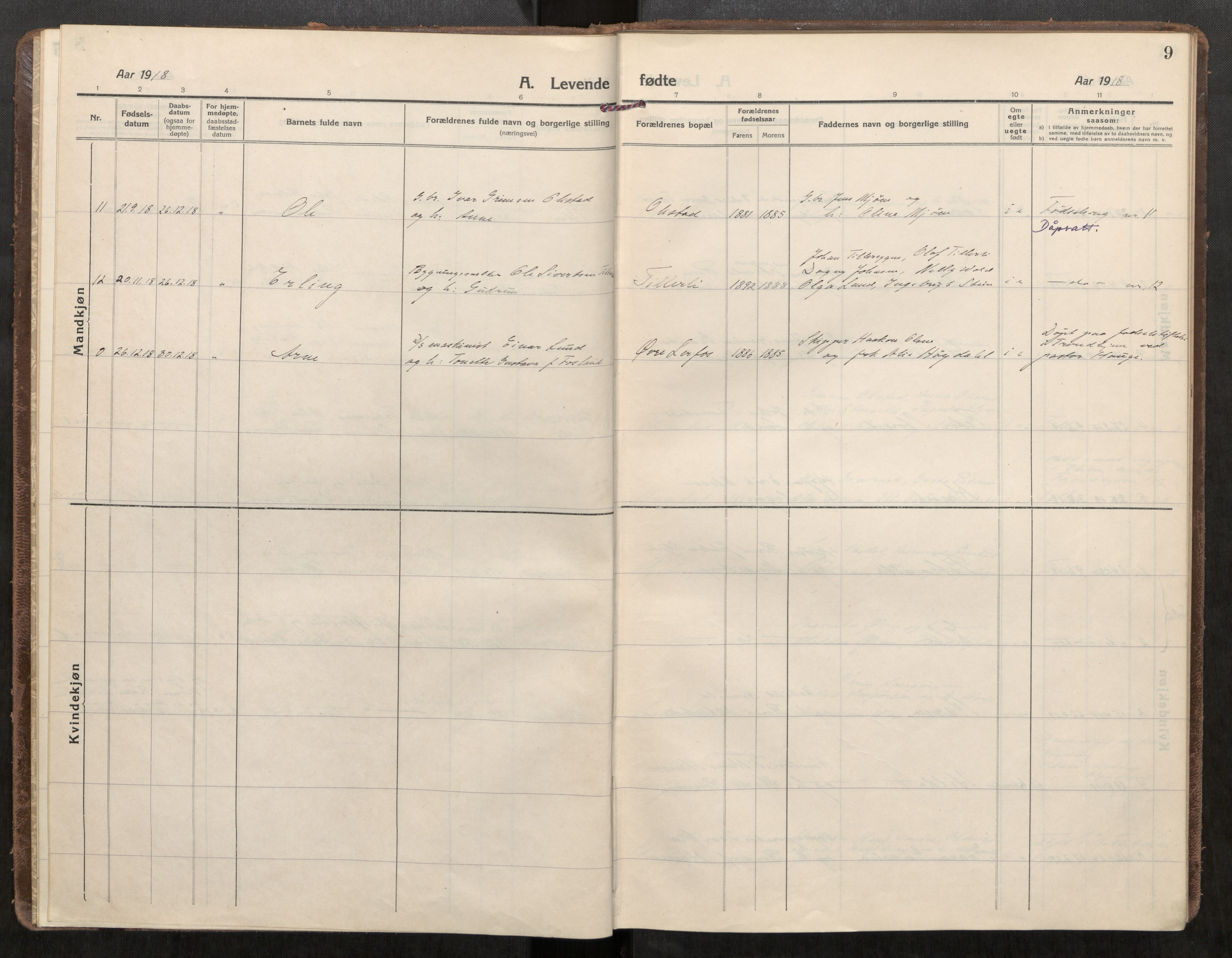 Klæbu sokneprestkontor, SAT/A-1112: Parish register (official) no. 3, 1917-1924, p. 9