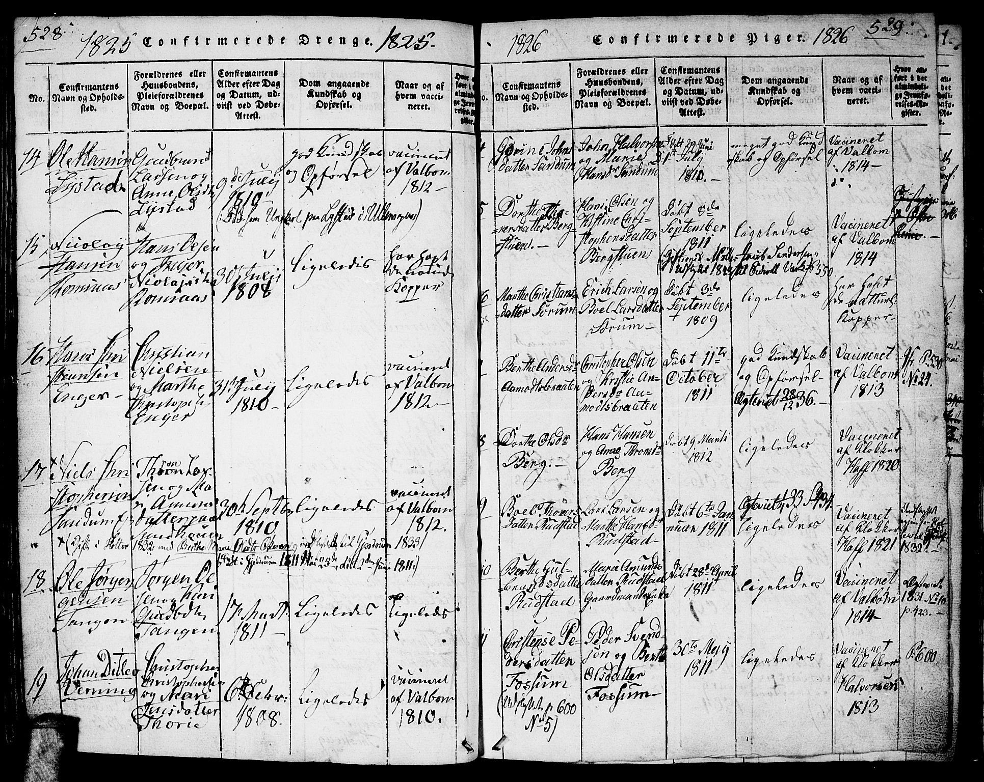 Gjerdrum prestekontor Kirkebøker, SAO/A-10412b/G/Ga/L0001: Parish register (copy) no. I 1, 1816-1837, p. 528-529
