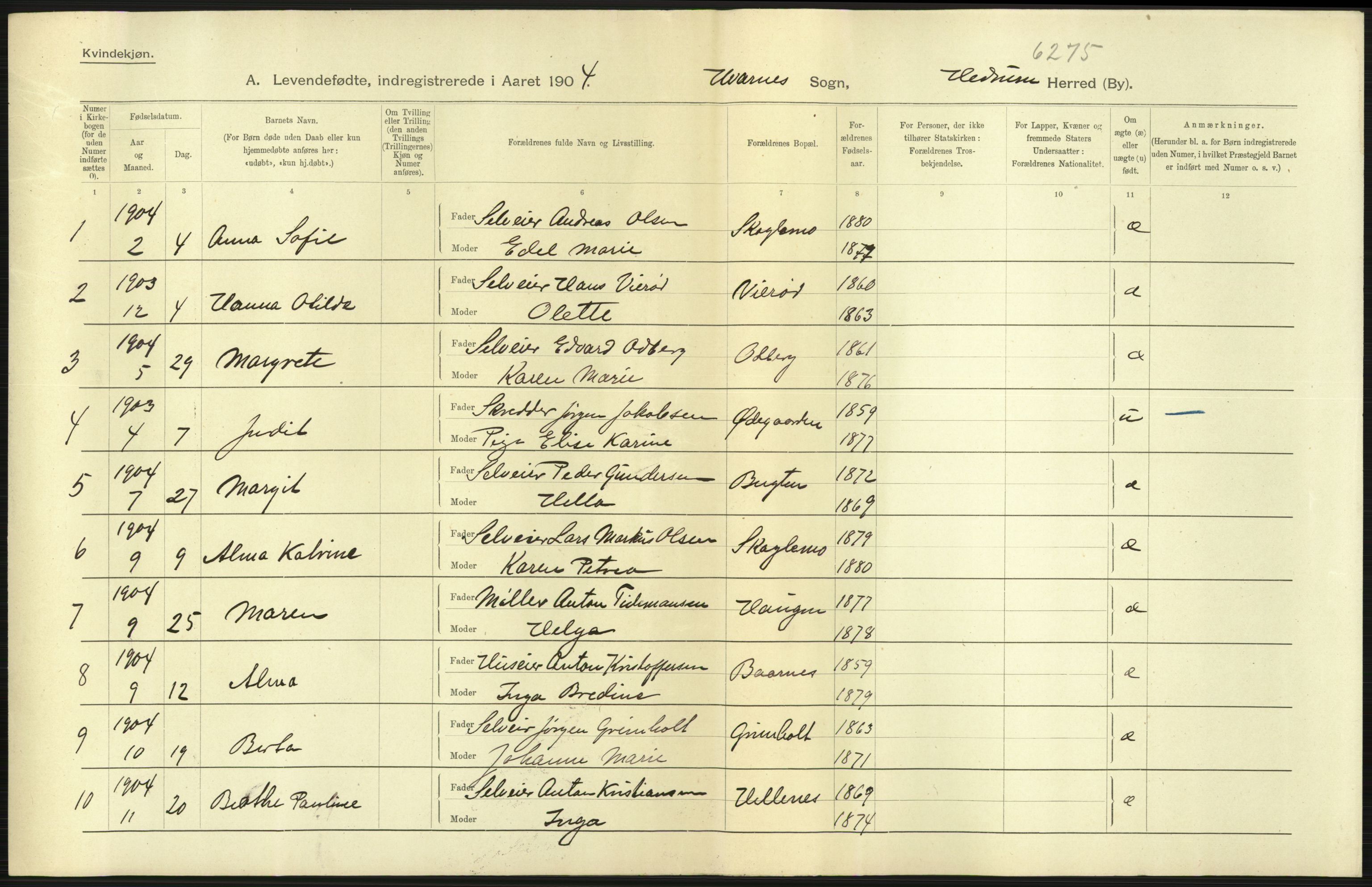 Statistisk sentralbyrå, Sosiodemografiske emner, Befolkning, AV/RA-S-2228/D/Df/Dfa/Dfab/L0008: Jarlsberg og Larvig amt: Fødte, gifte, døde, 1904, p. 13