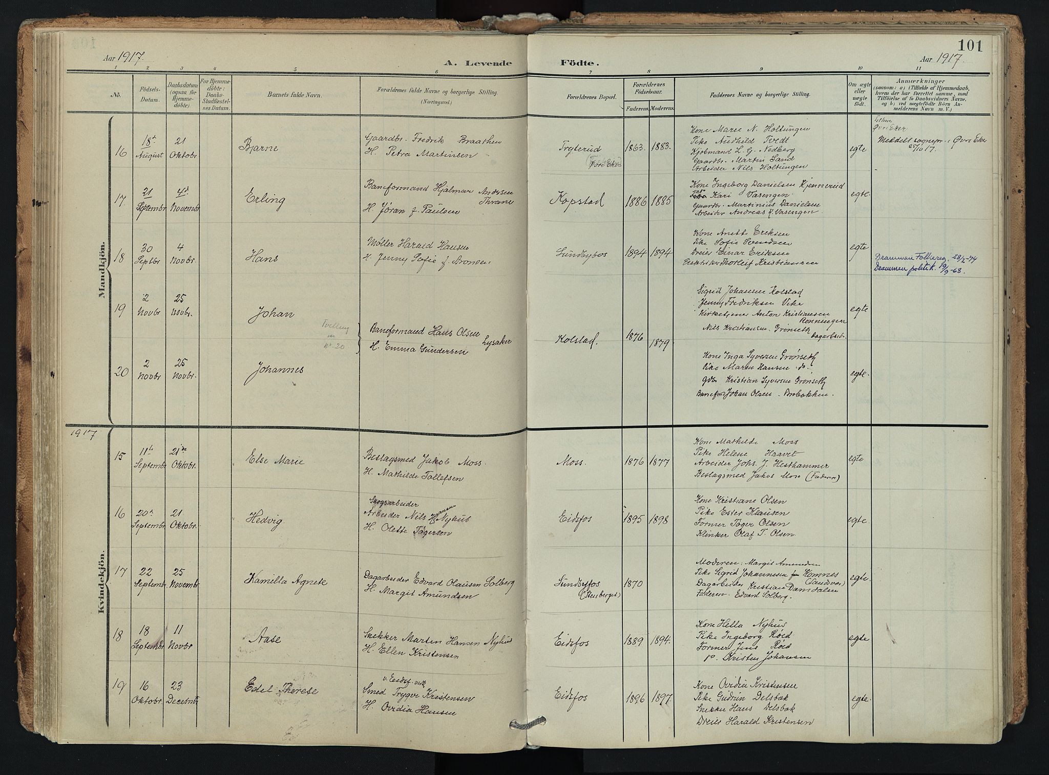 Hof kirkebøker, AV/SAKO-A-64/F/Fa/L0008: Parish register (official) no. I 8, 1902-1921, p. 101