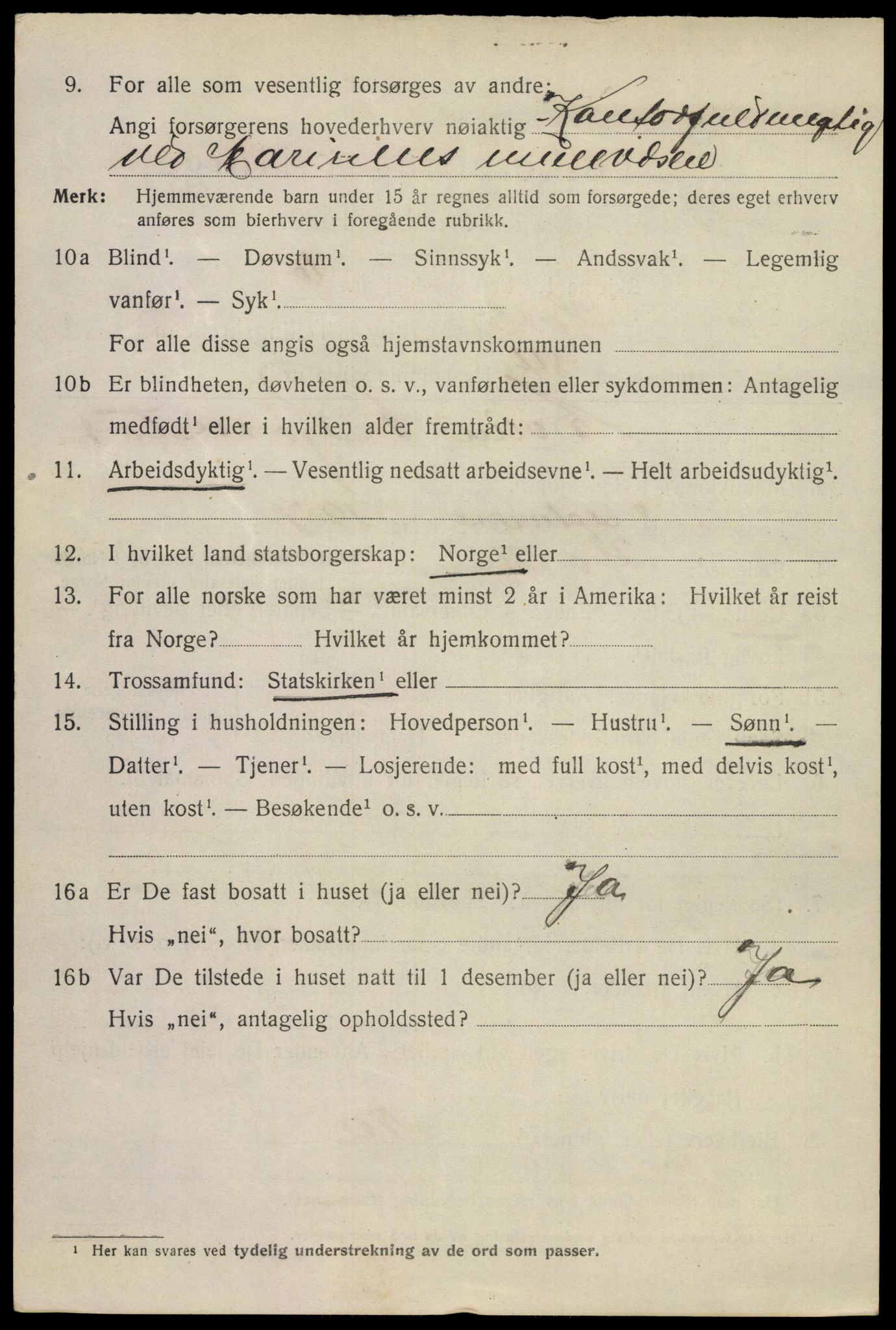 SAKO, 1920 census for Horten, 1920, p. 20732