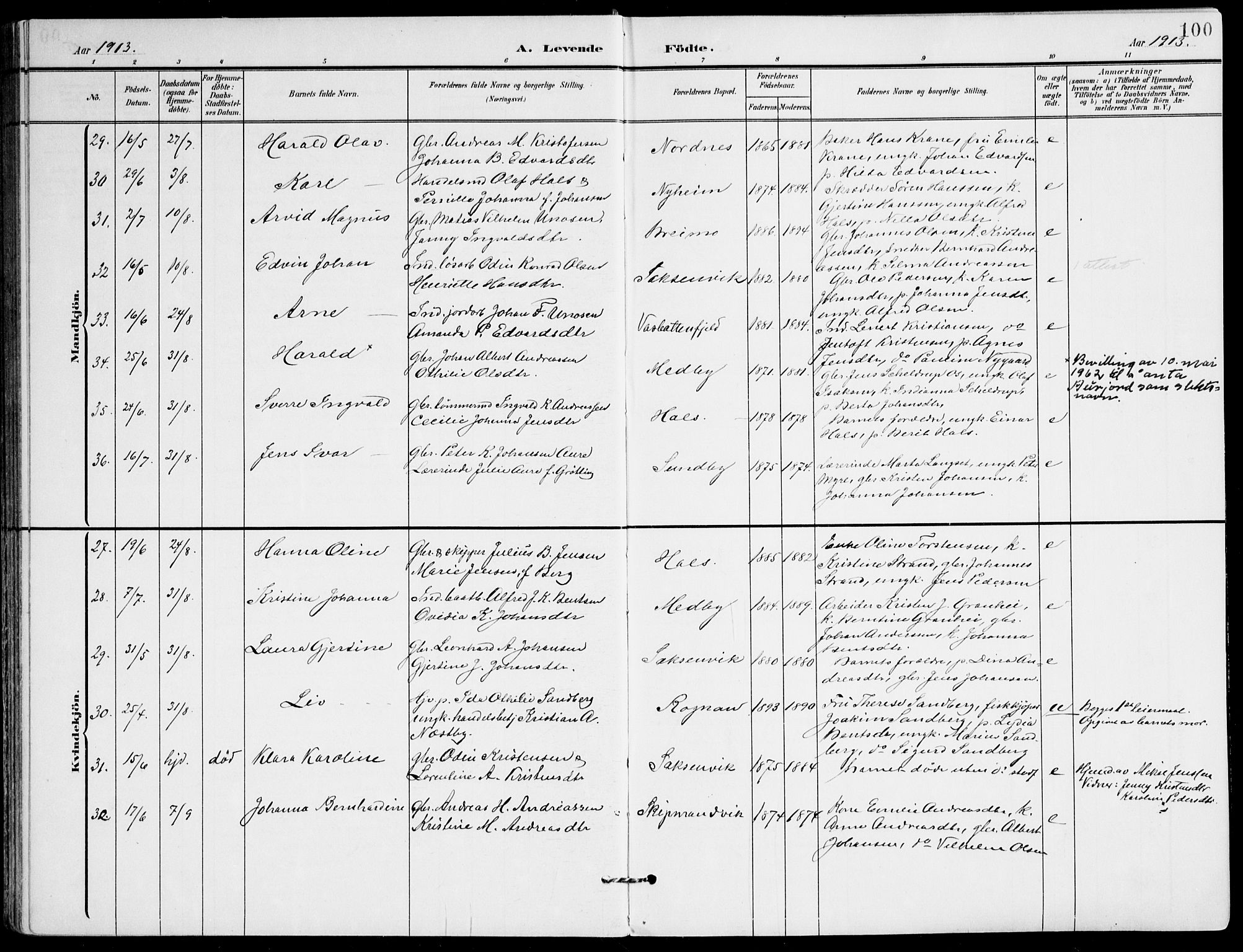Ministerialprotokoller, klokkerbøker og fødselsregistre - Nordland, SAT/A-1459/847/L0672: Parish register (official) no. 847A12, 1902-1919, p. 100