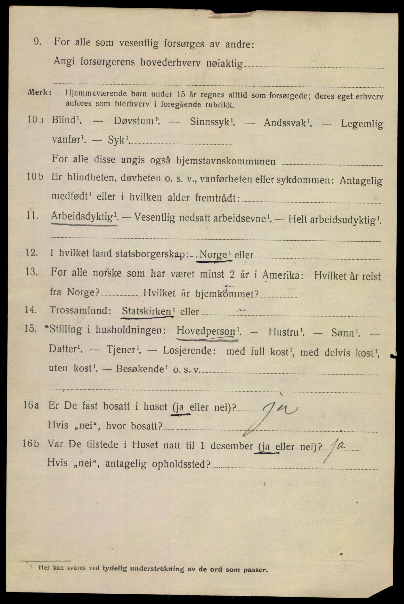 SAKO, 1920 census for Skien, 1920, p. 15169