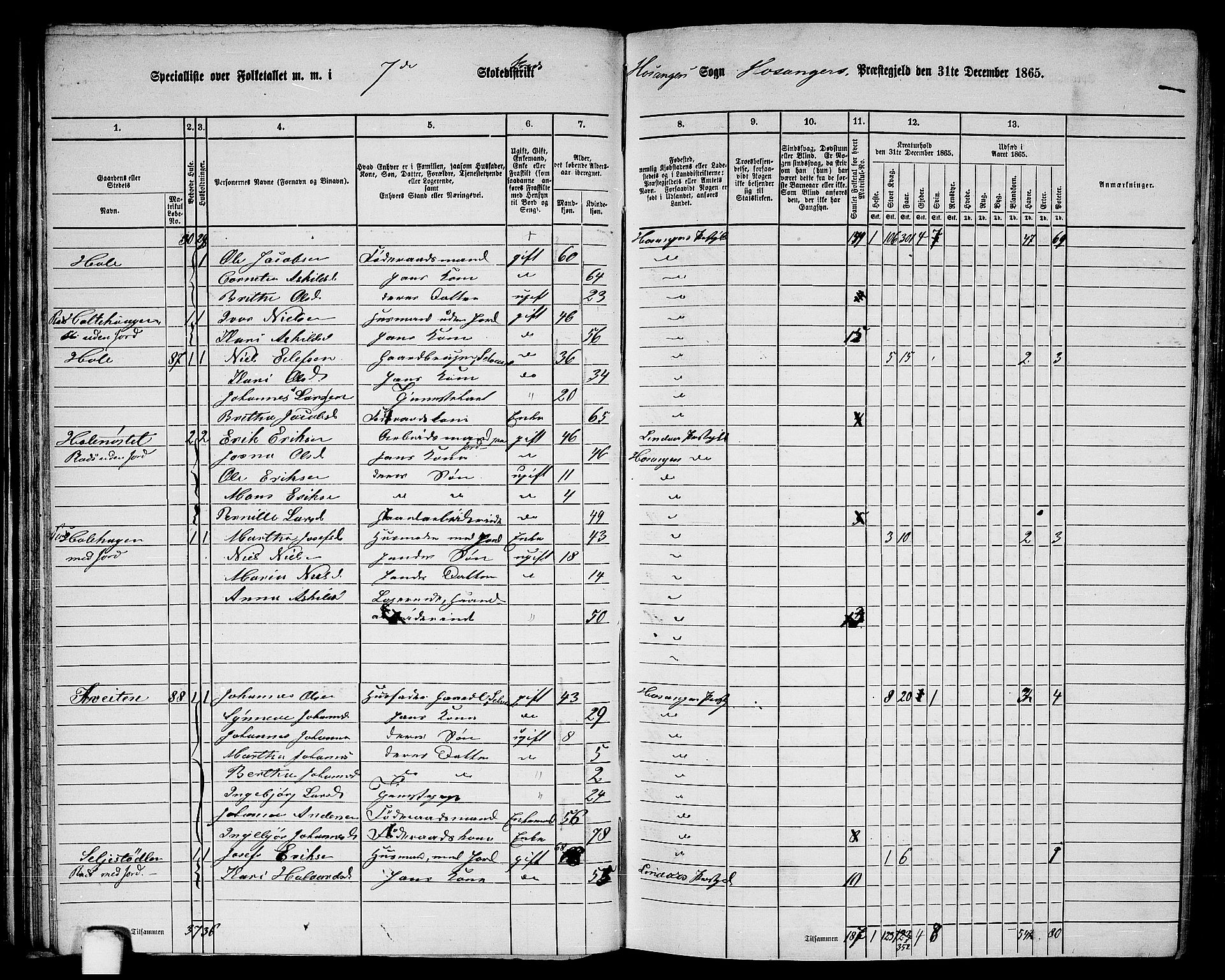 RA, 1865 census for Hosanger, 1865, p. 56