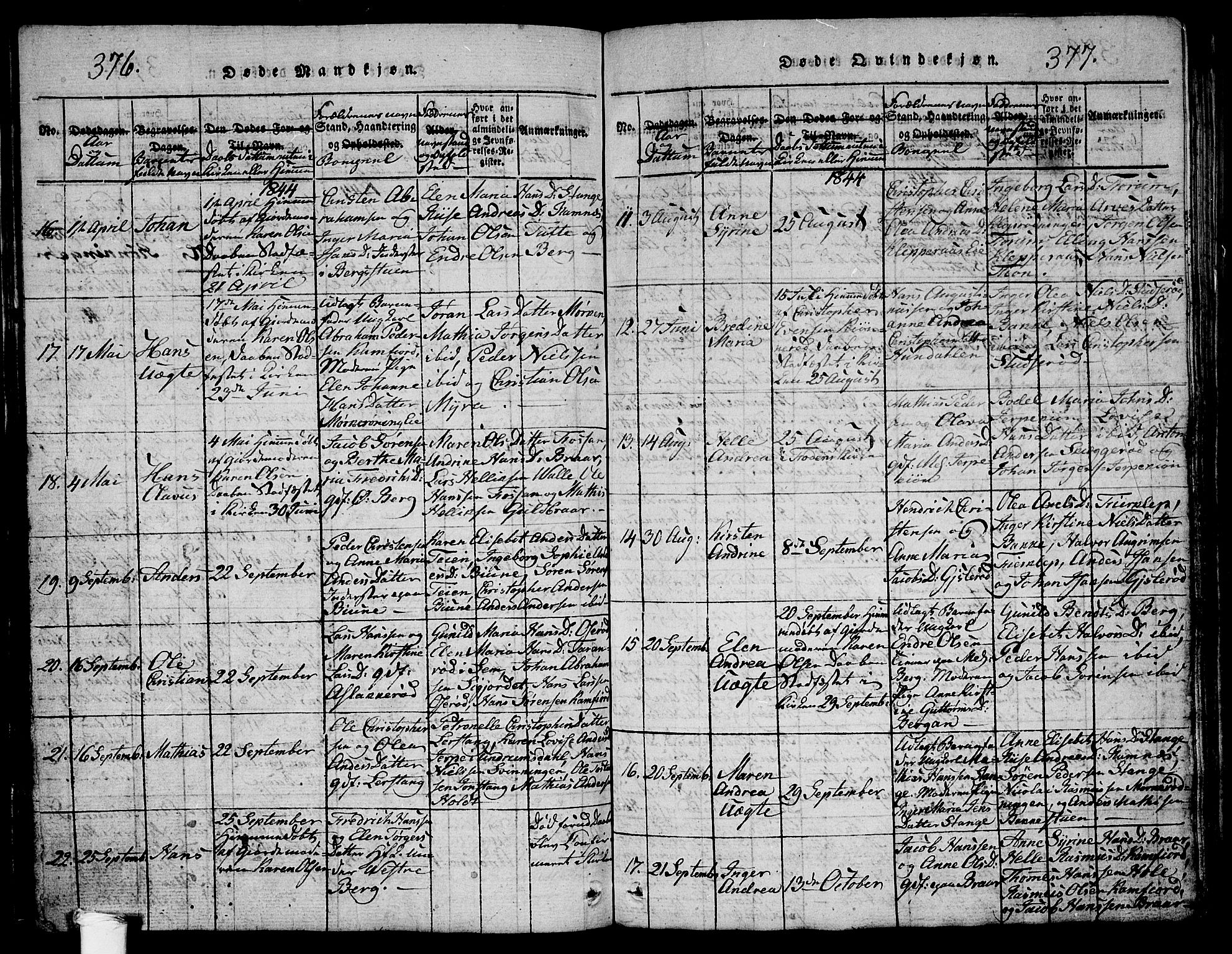 Ramnes kirkebøker, SAKO/A-314/G/Ga/L0001: Parish register (copy) no. I 1, 1813-1847, p. 376-377
