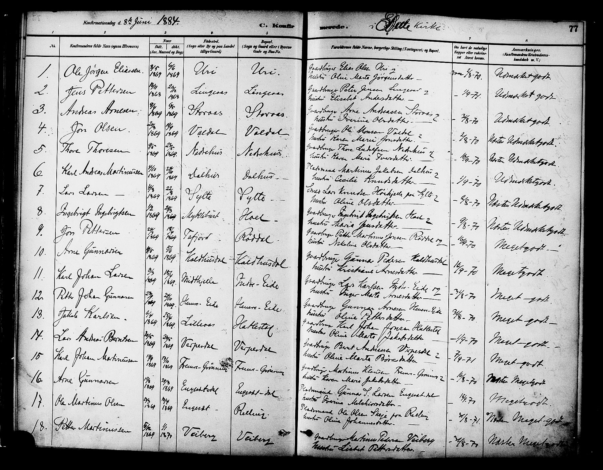 Ministerialprotokoller, klokkerbøker og fødselsregistre - Møre og Romsdal, AV/SAT-A-1454/519/L0255: Parish register (official) no. 519A14, 1884-1908, p. 77