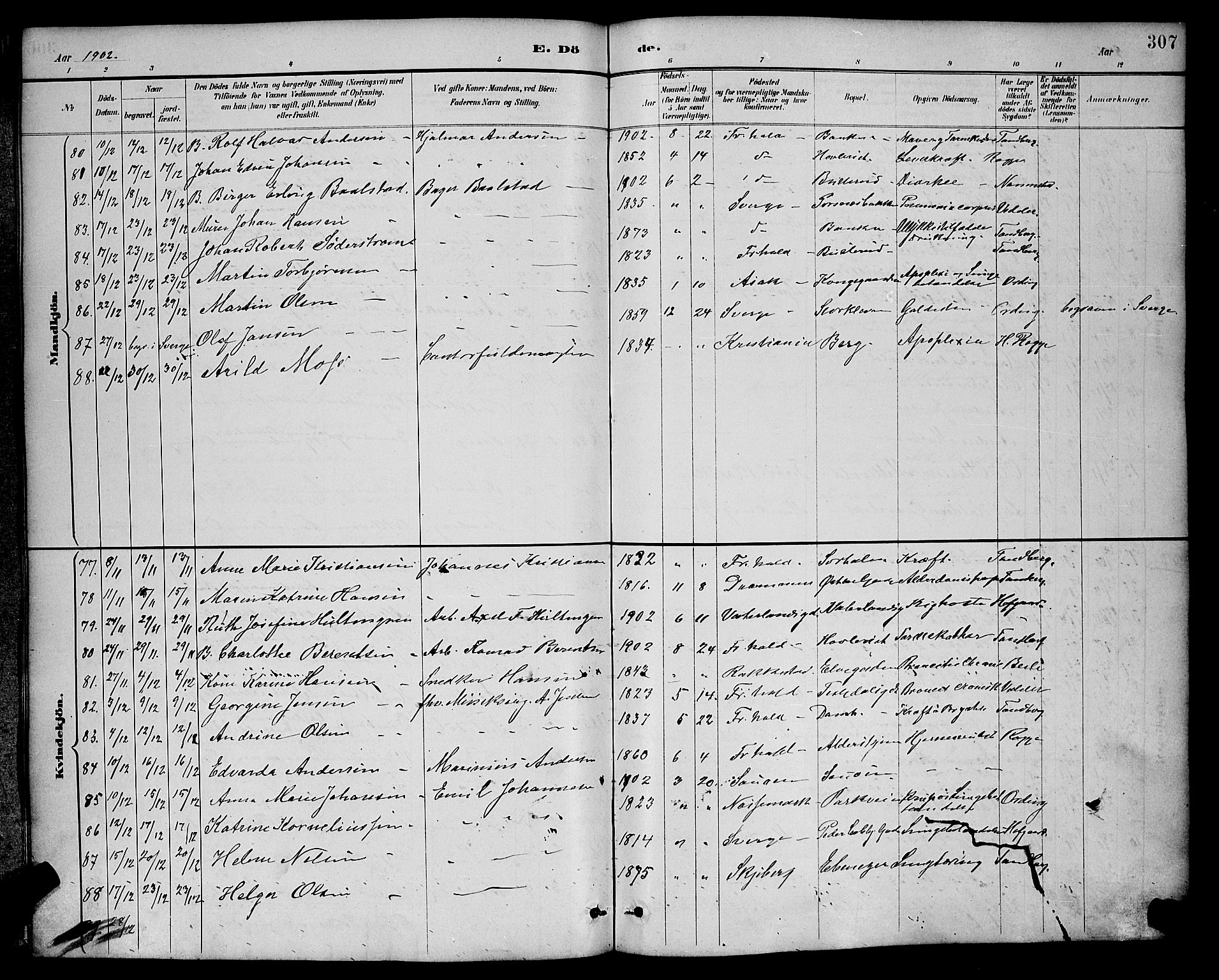 Halden prestekontor Kirkebøker, AV/SAO-A-10909/G/Ga/L0009: Parish register (copy) no. 9, 1885-1908, p. 307