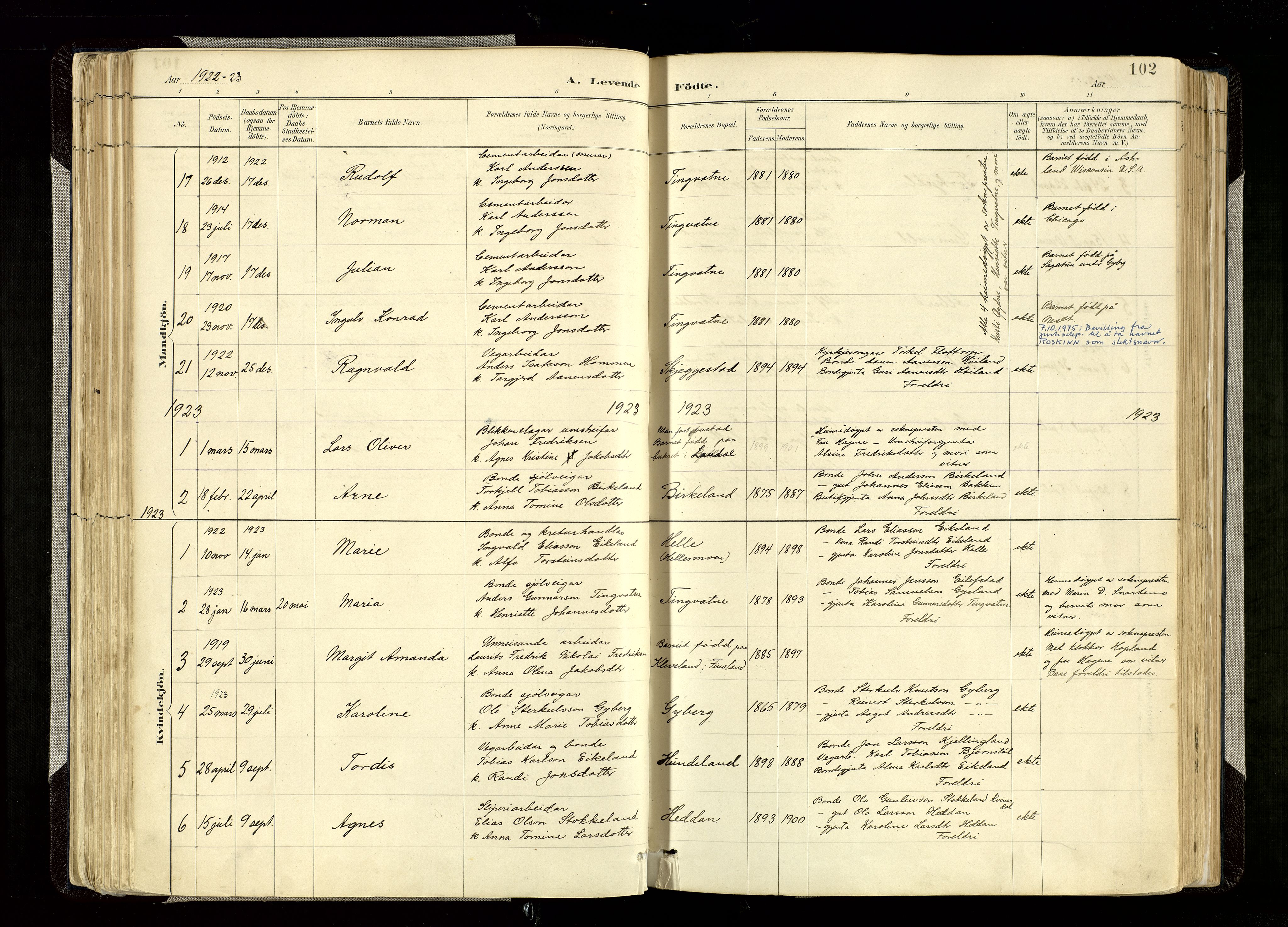 Hægebostad sokneprestkontor, AV/SAK-1111-0024/F/Fa/Faa/L0006: Parish register (official) no. A 6, 1887-1929, p. 102