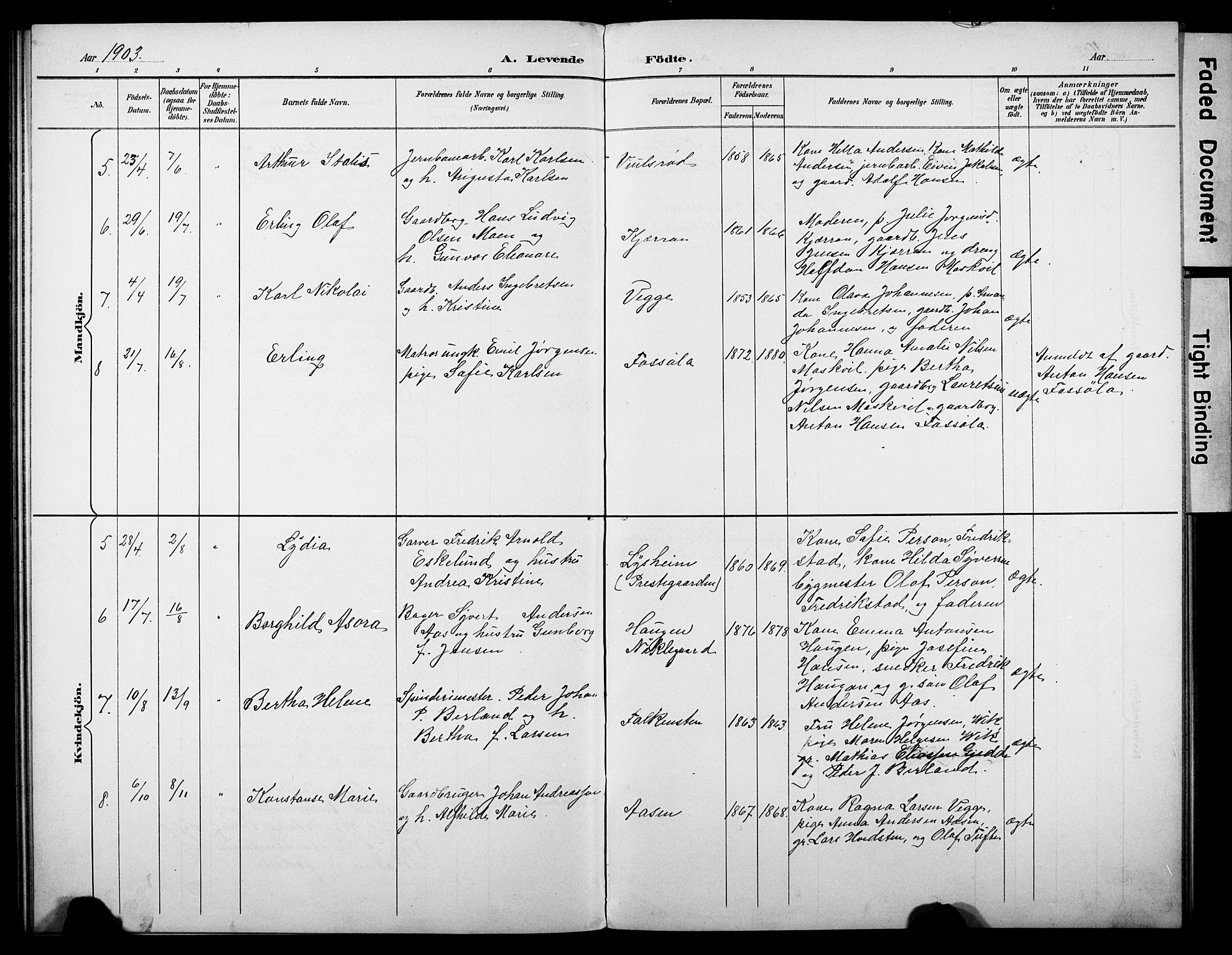 Borre kirkebøker, AV/SAKO-A-338/G/Gb/L0003: Parish register (copy) no. II 3, 1893-1905