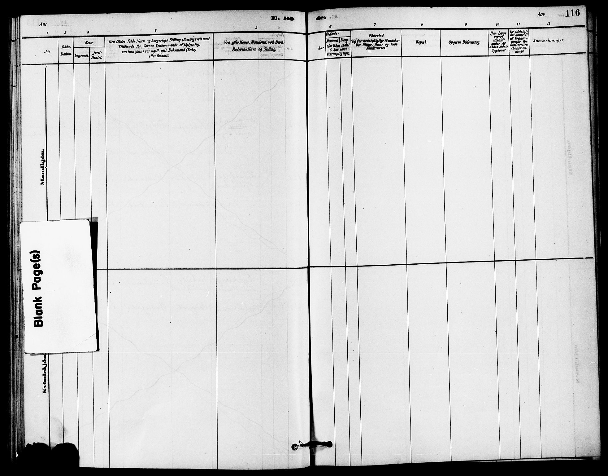 Jelsa sokneprestkontor, AV/SAST-A-101842/01/IV: Parish register (official) no. A 9, 1878-1898, p. 116