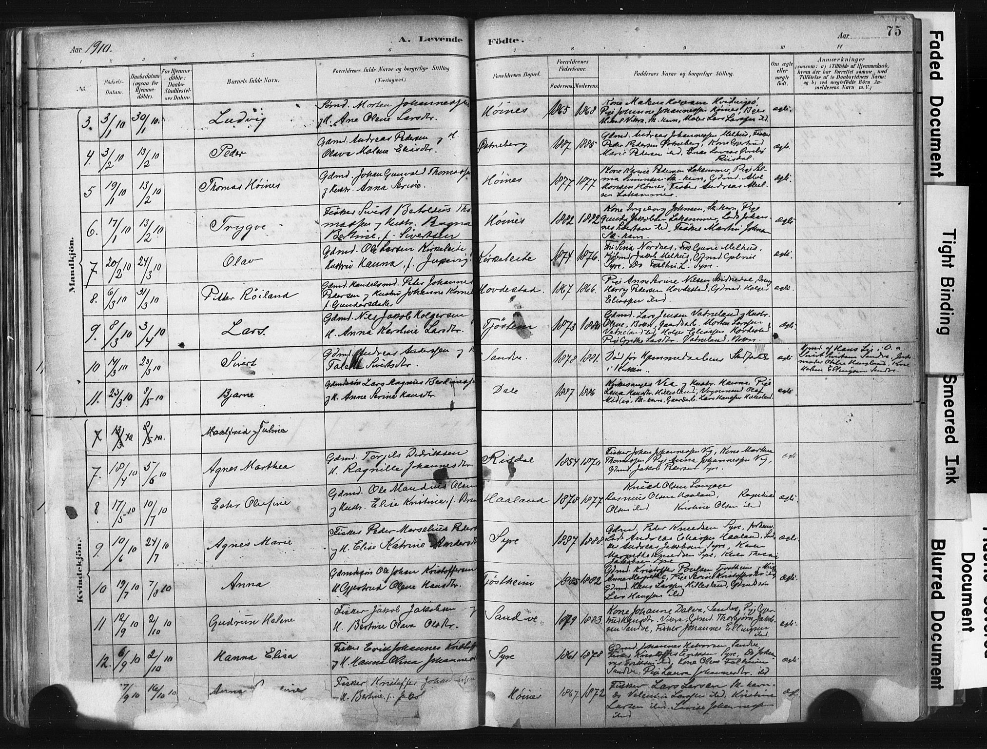 Skudenes sokneprestkontor, AV/SAST-A -101849/H/Ha/Haa/L0009: Parish register (official) no. A 6, 1882-1912, p. 75