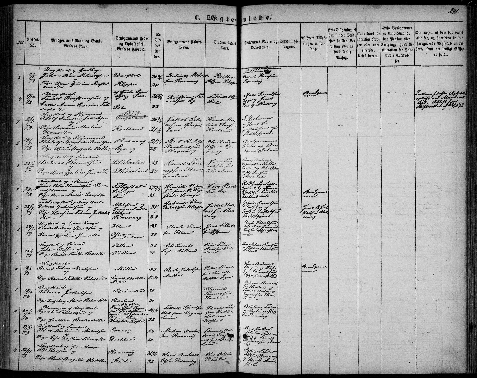 Flekkefjord sokneprestkontor, AV/SAK-1111-0012/F/Fb/Fbb/L0003: Parish register (copy) no. B 3, 1867-1889, p. 291