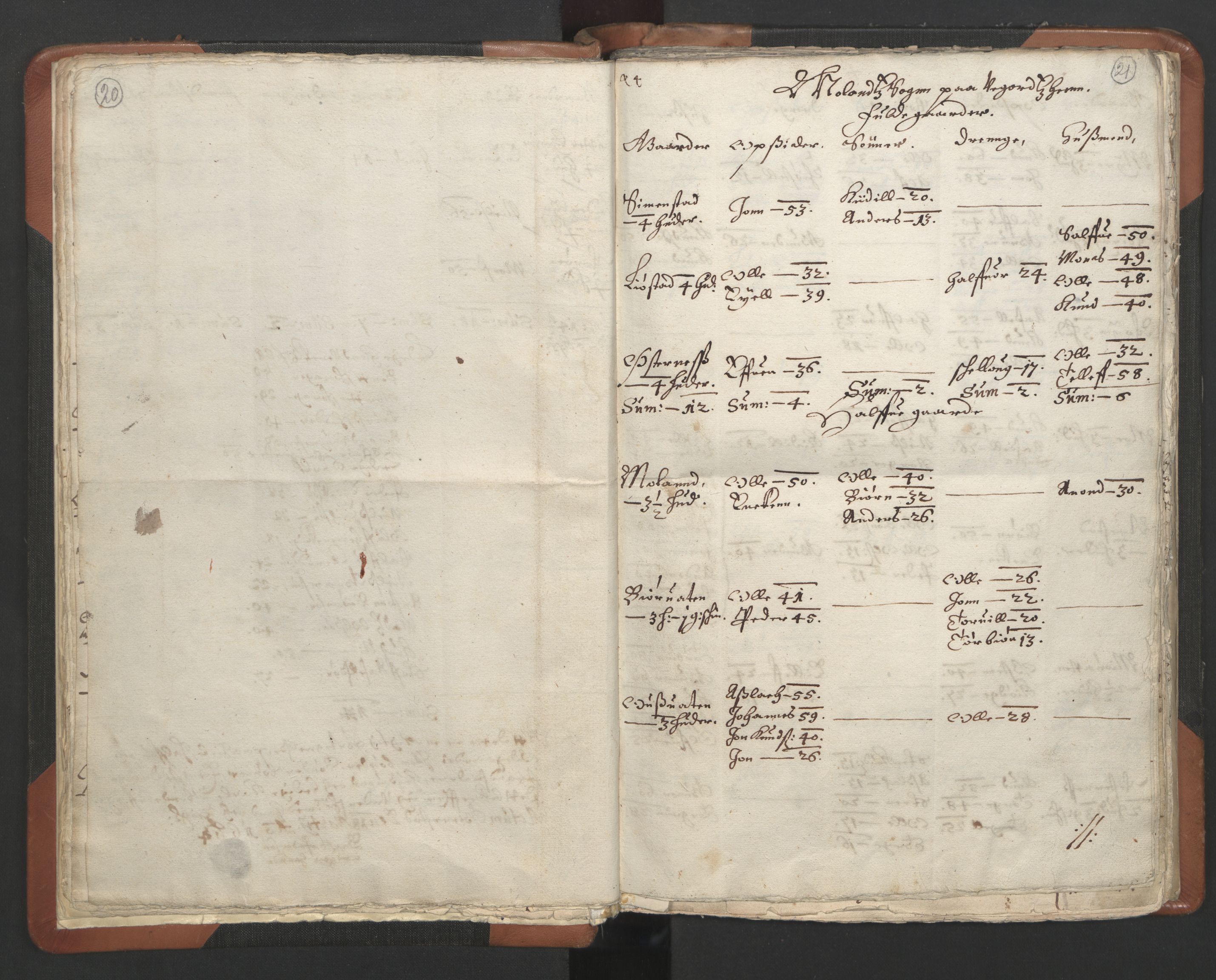 RA, Vicar's Census 1664-1666, no. 13: Nedenes deanery, 1664-1666, p. 20-21