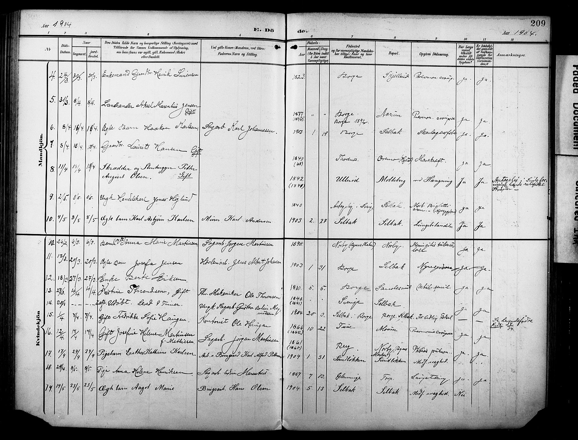 Borge prestekontor Kirkebøker, SAO/A-10903/F/Fa/L0009: Parish register (official) no. I 9, 1902-1911, p. 209