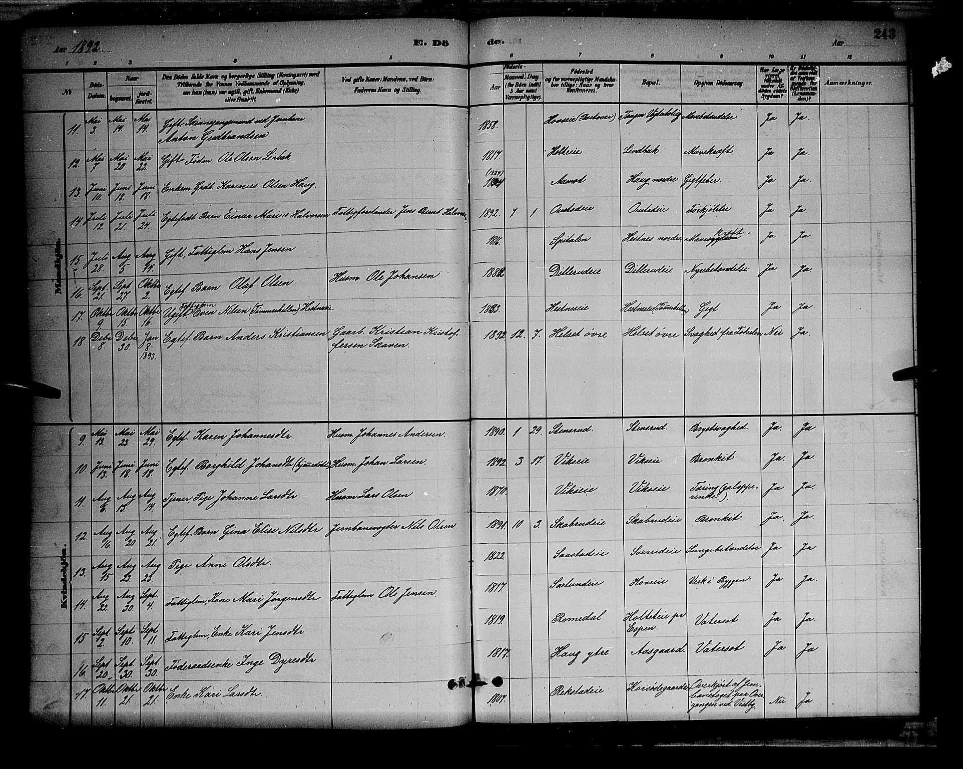 Stange prestekontor, AV/SAH-PREST-002/L/L0008: Parish register (copy) no. 8, 1882-1895, p. 243