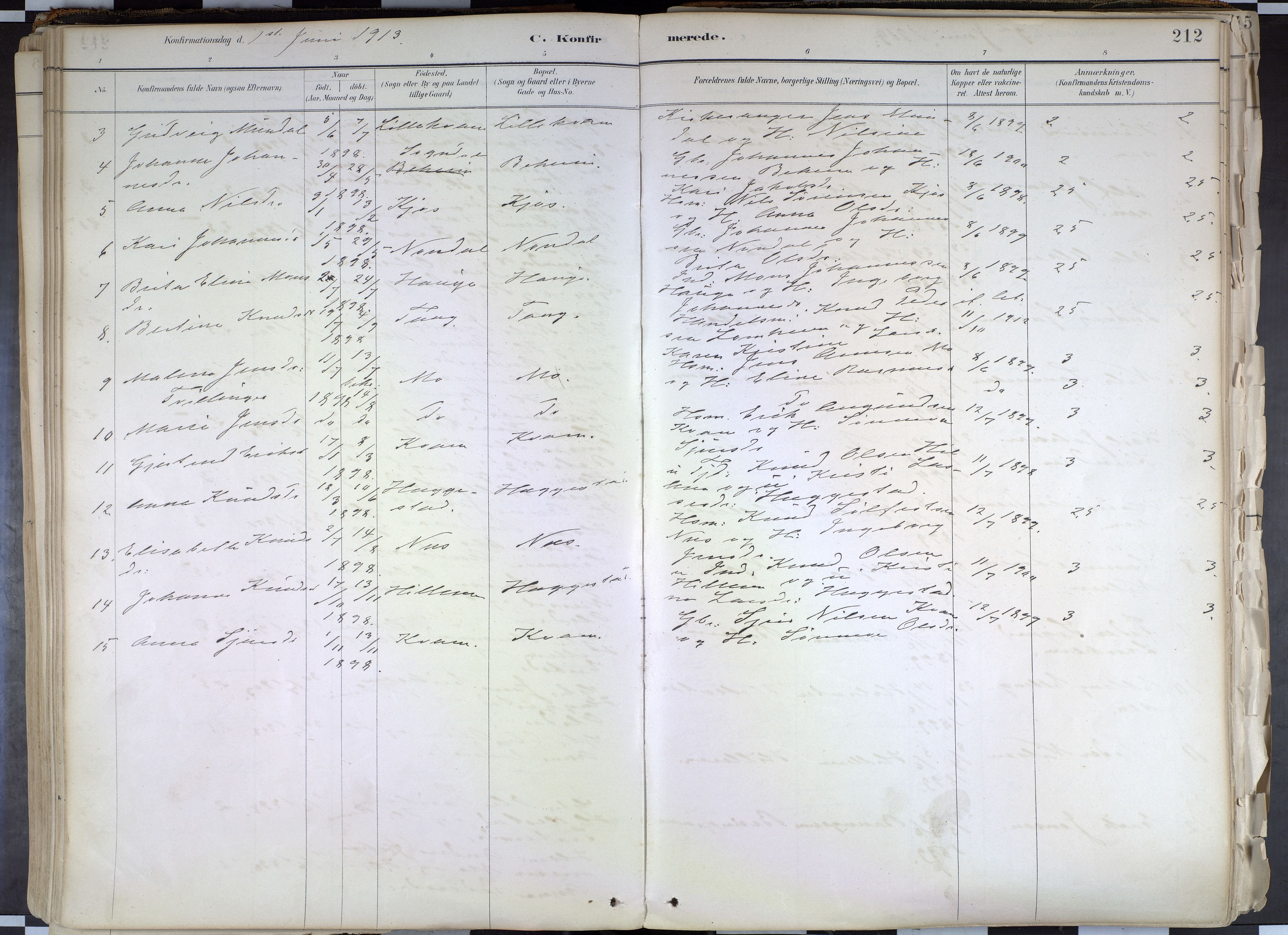 Hafslo sokneprestembete, SAB/A-80301/H/Haa/Haab/L0001: Parish register (official) no. B 1, 1886-1945, p. 212
