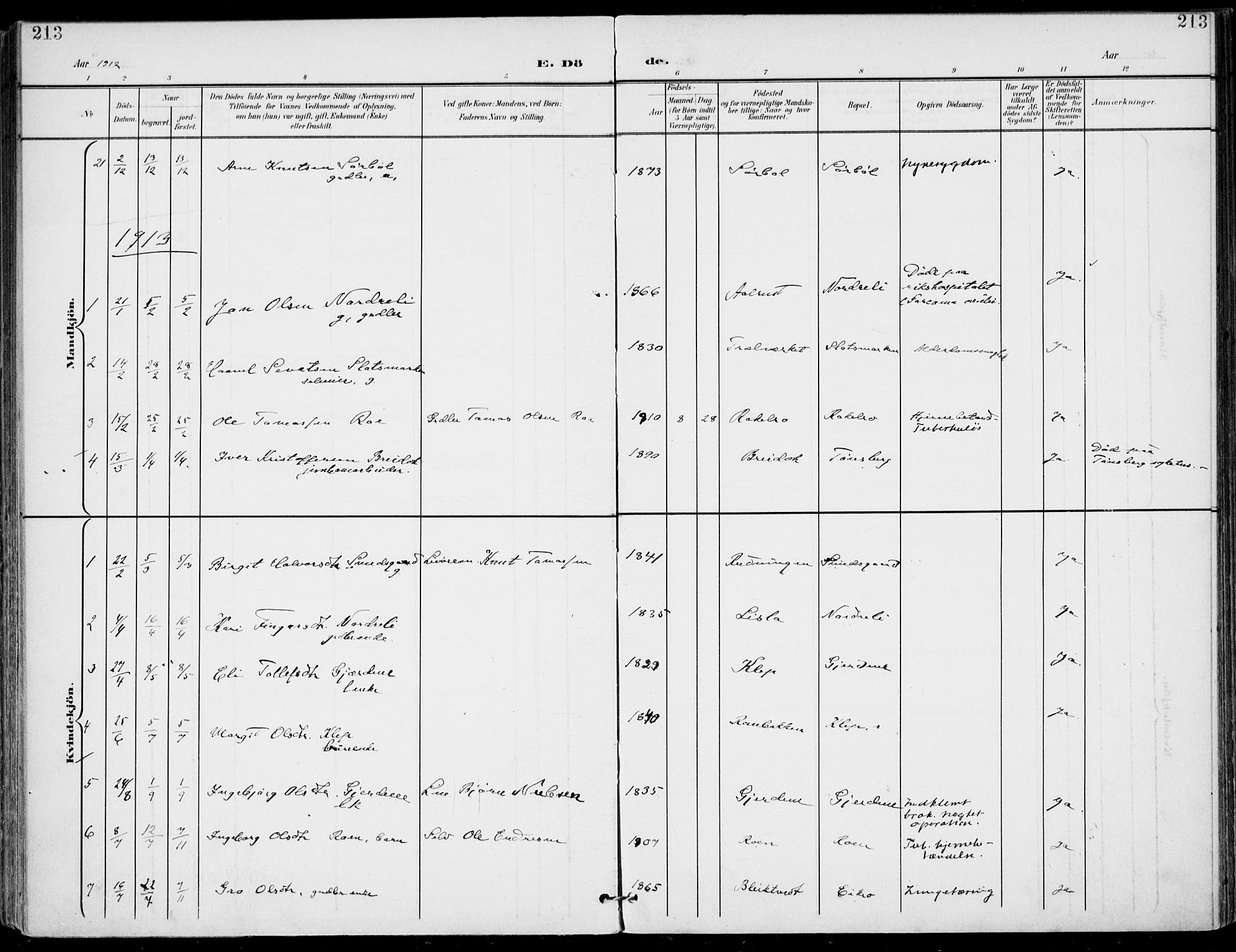 Gol kirkebøker, AV/SAKO-A-226/F/Fa/L0006: Parish register (official) no. I 6, 1901-1918, p. 213