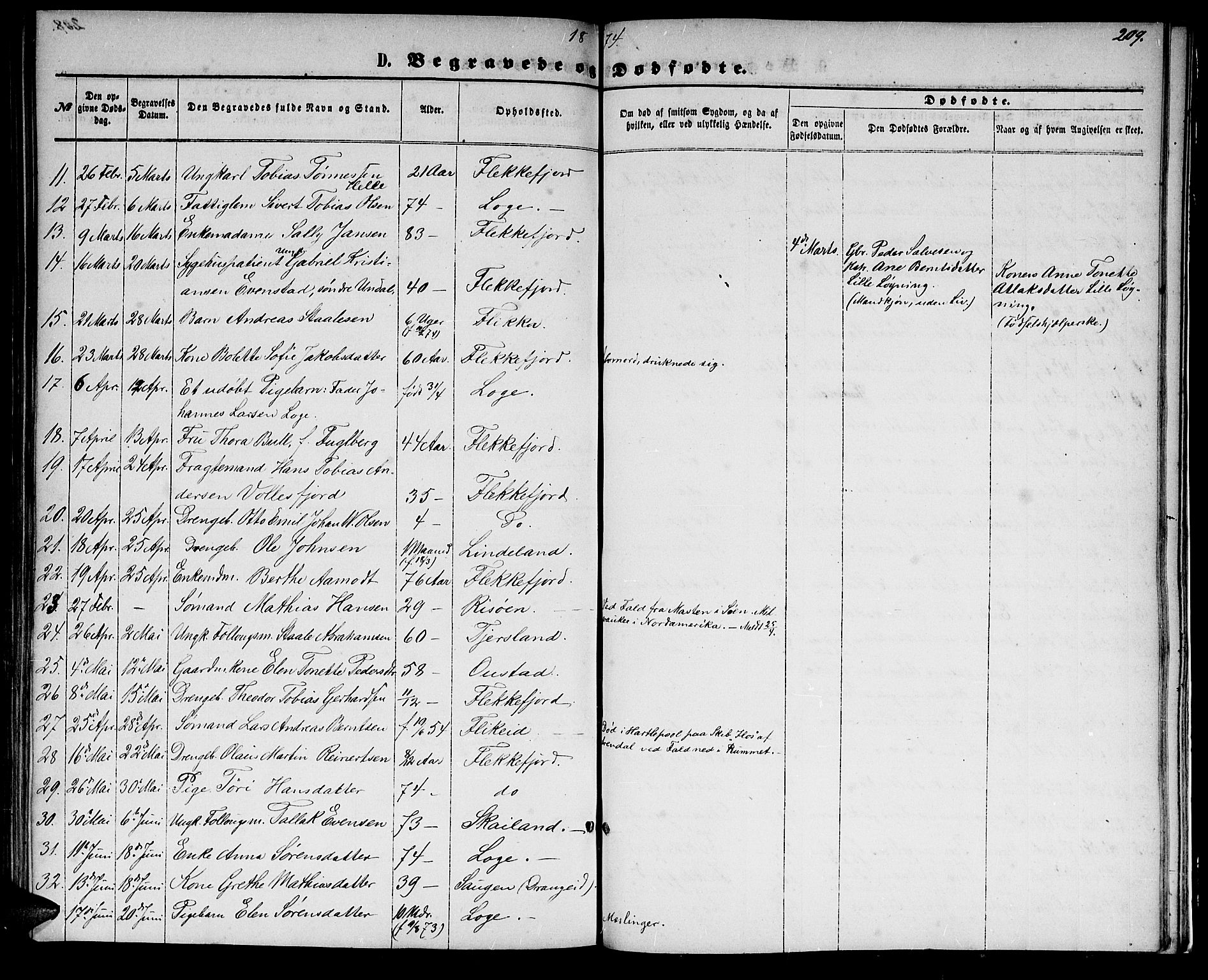 Flekkefjord sokneprestkontor, SAK/1111-0012/F/Fb/Fbc/L0006: Parish register (copy) no. B 6, 1866-1879, p. 209