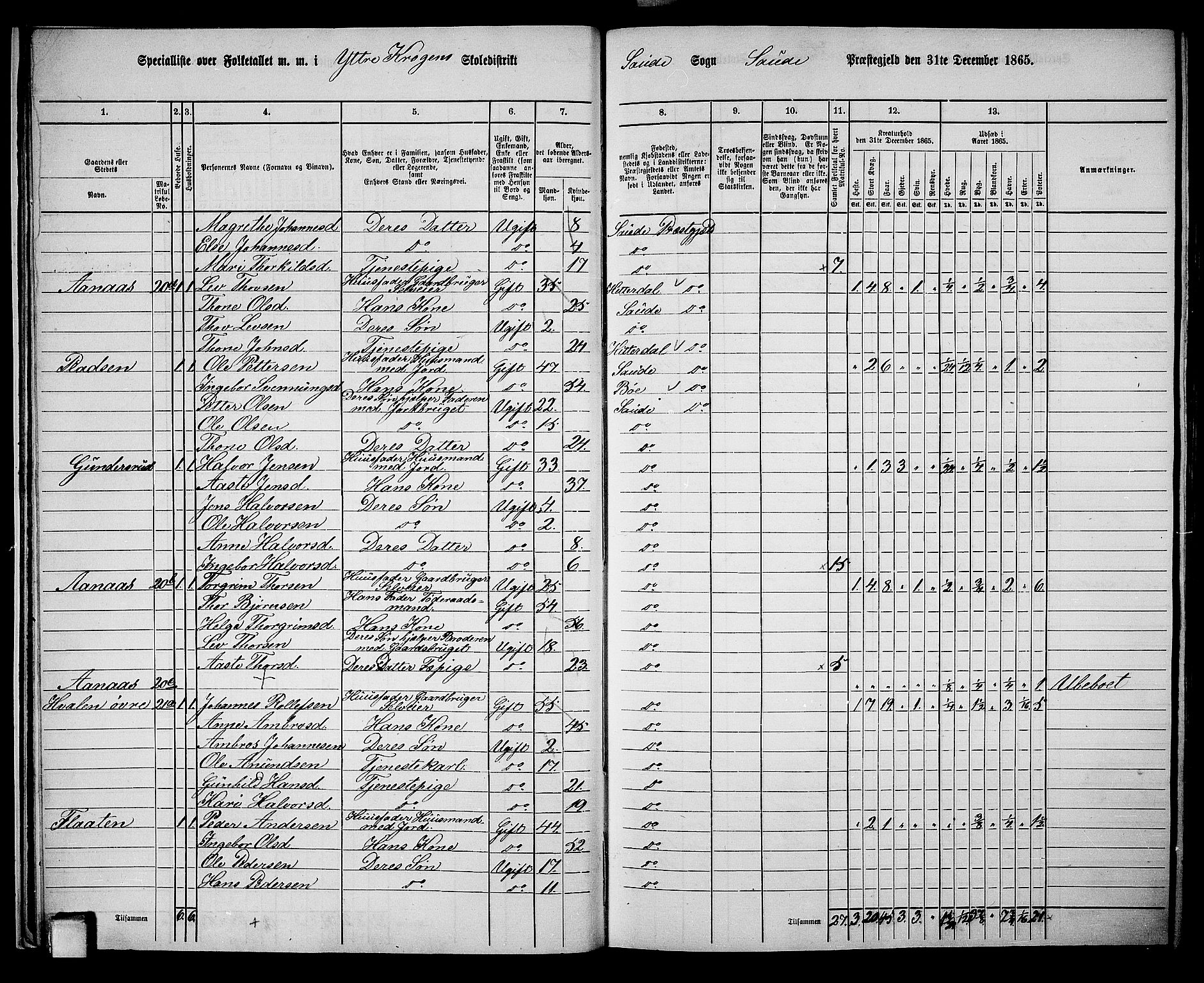 RA, 1865 census for Sauherad, 1865, p. 20