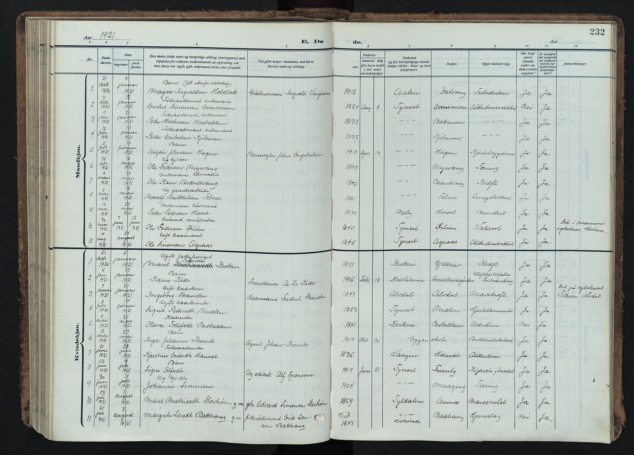 Tynset prestekontor, SAH/PREST-058/H/Ha/Haa/L0026: Parish register (official) no. 26, 1915-1929, p. 232