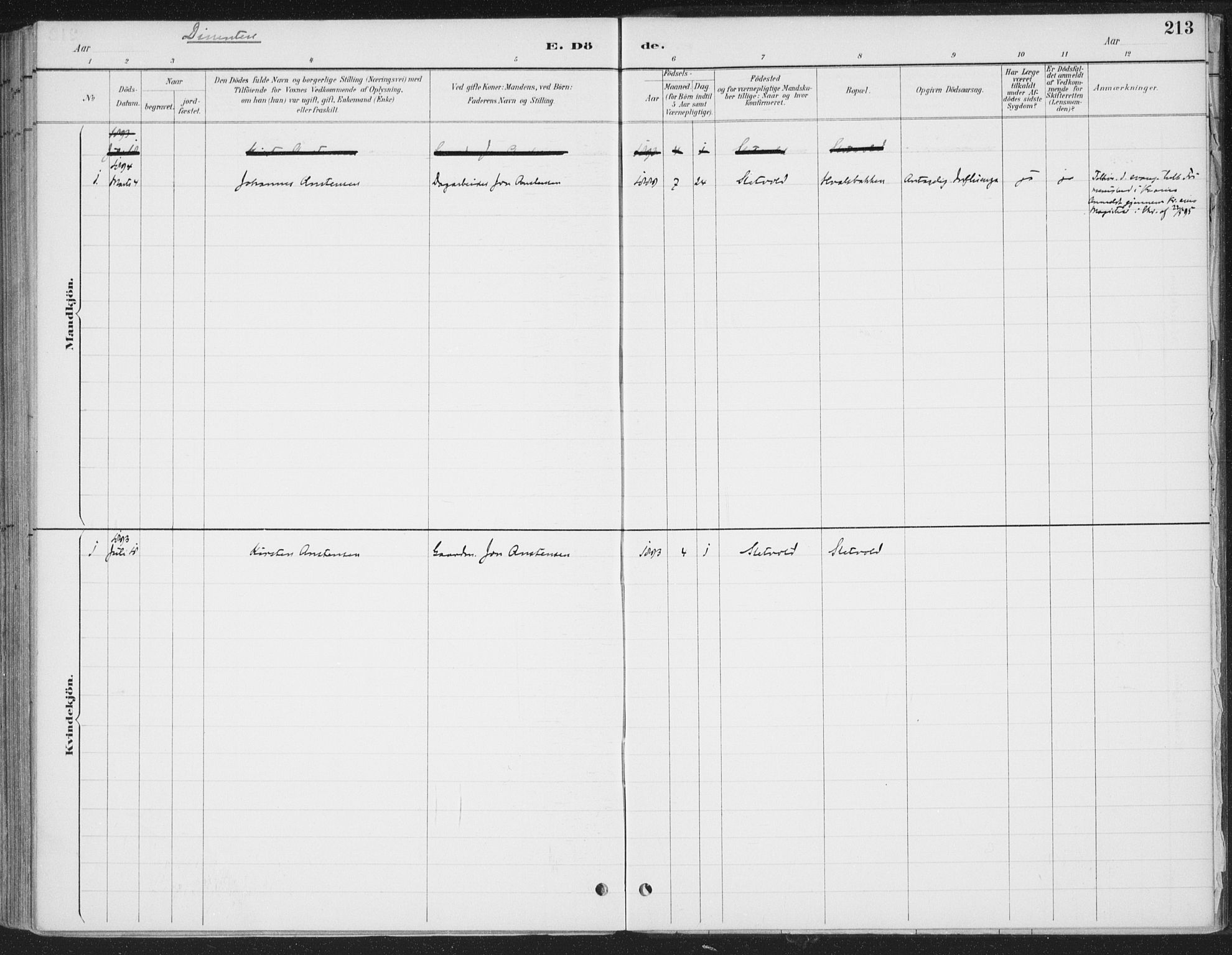 Romedal prestekontor, SAH/PREST-004/K/L0008: Parish register (official) no. 8, 1887-1905, p. 213