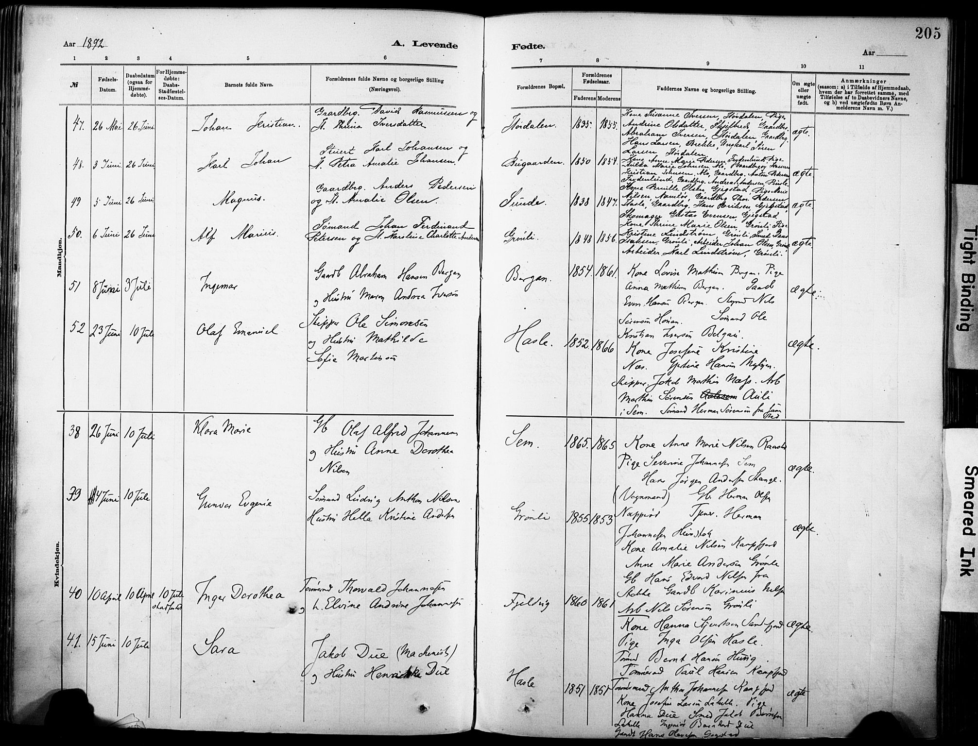 Sandar kirkebøker, AV/SAKO-A-243/F/Fa/L0012: Parish register (official) no. 12, 1883-1895, p. 205