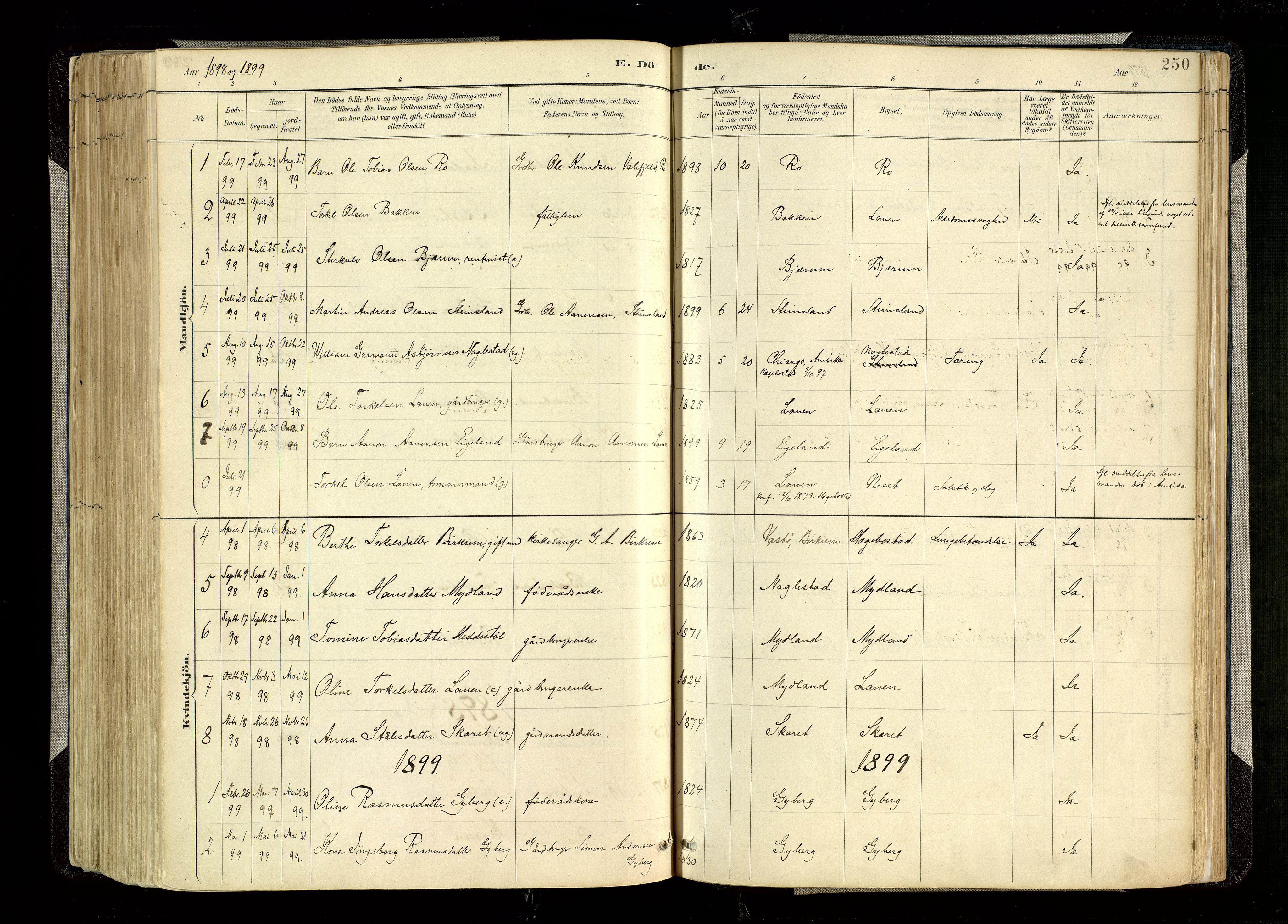 Hægebostad sokneprestkontor, AV/SAK-1111-0024/F/Fa/Faa/L0006: Parish register (official) no. A 6, 1887-1929, p. 250