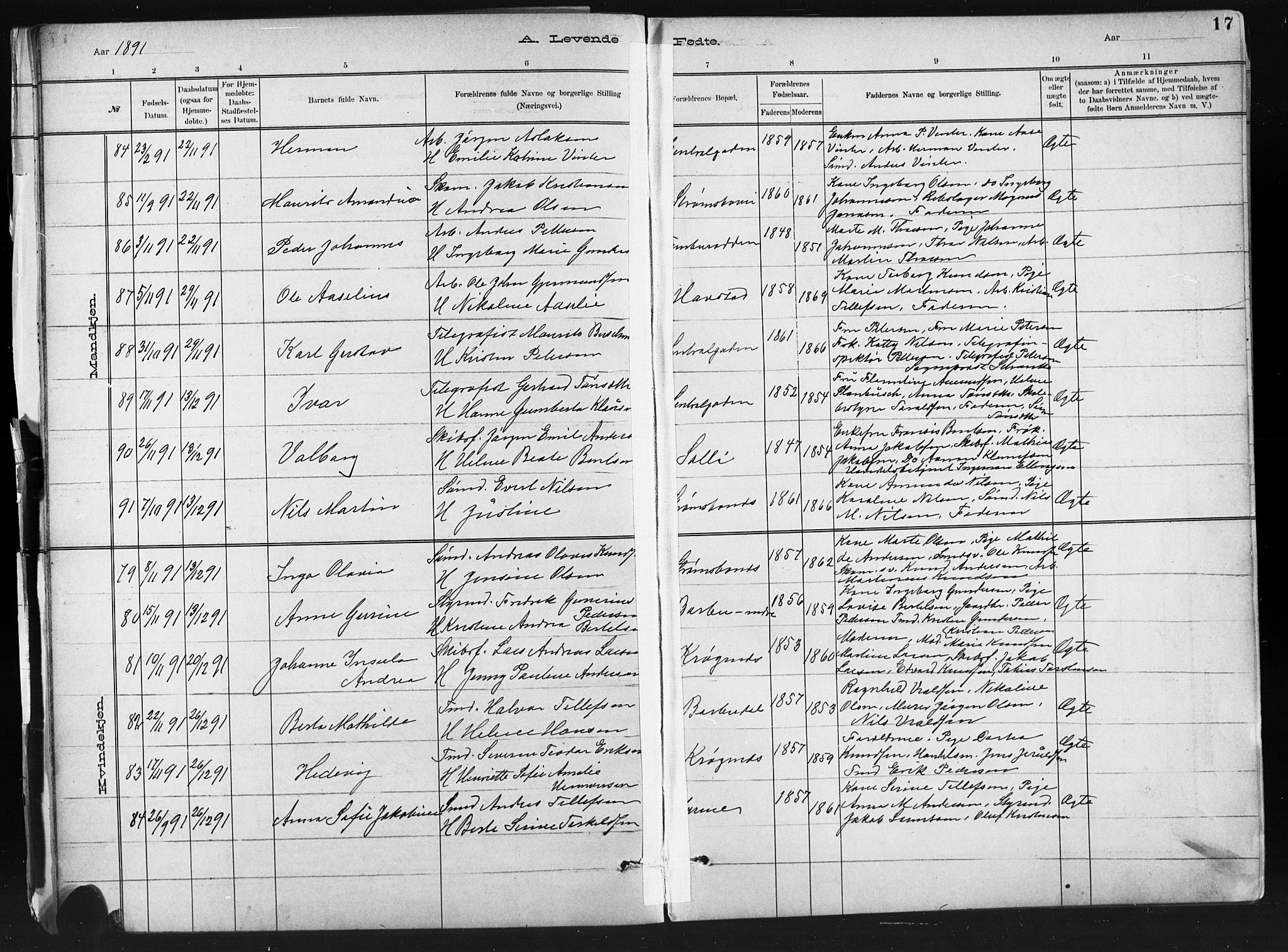 Barbu sokneprestkontor, AV/SAK-1111-0003/F/Fb/L0002: Parish register (copy) no. B 2, 1890-1922, p. 17