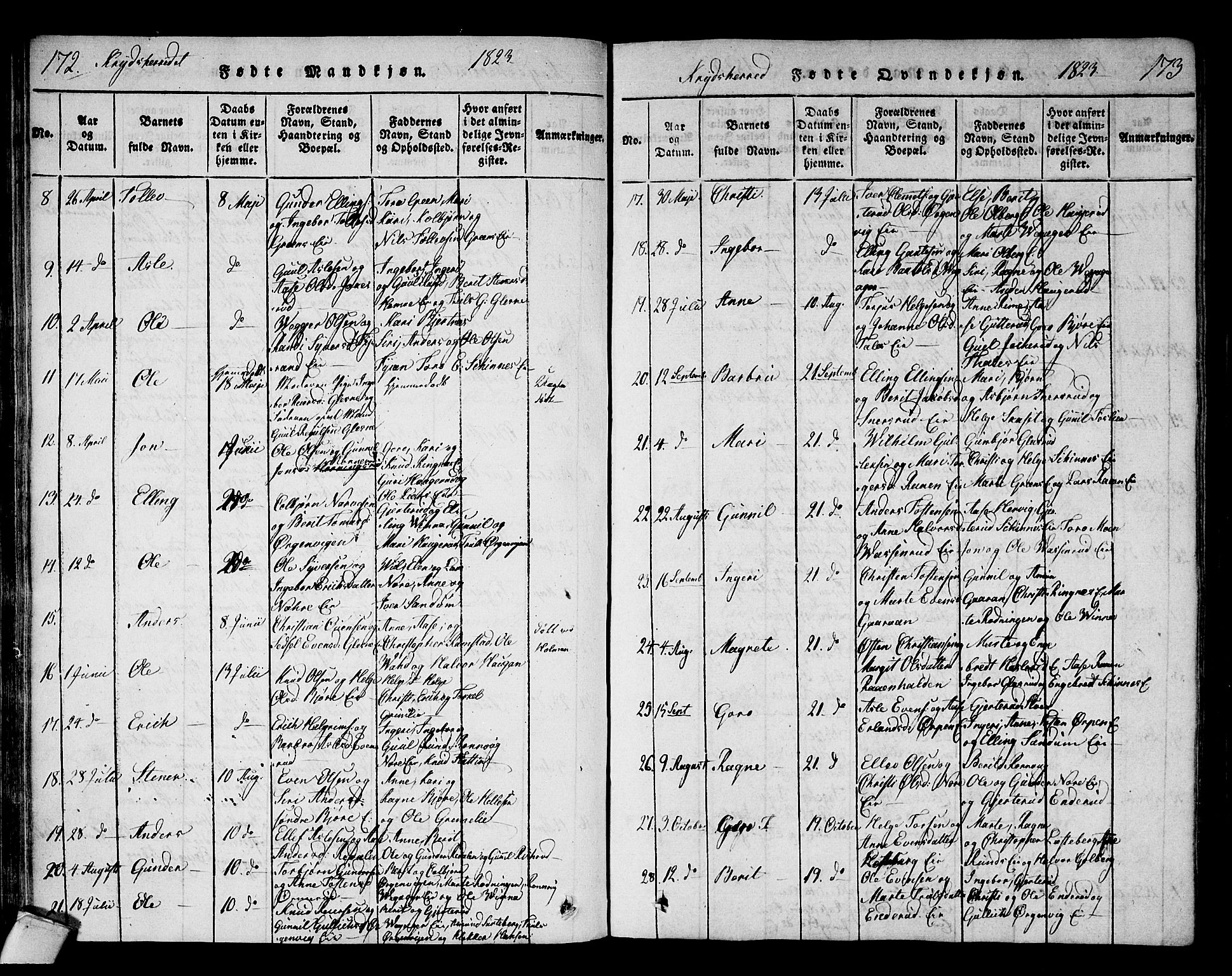 Sigdal kirkebøker, AV/SAKO-A-245/F/Fa/L0005: Parish register (official) no. I 5 /3, 1815-1829, p. 172-173