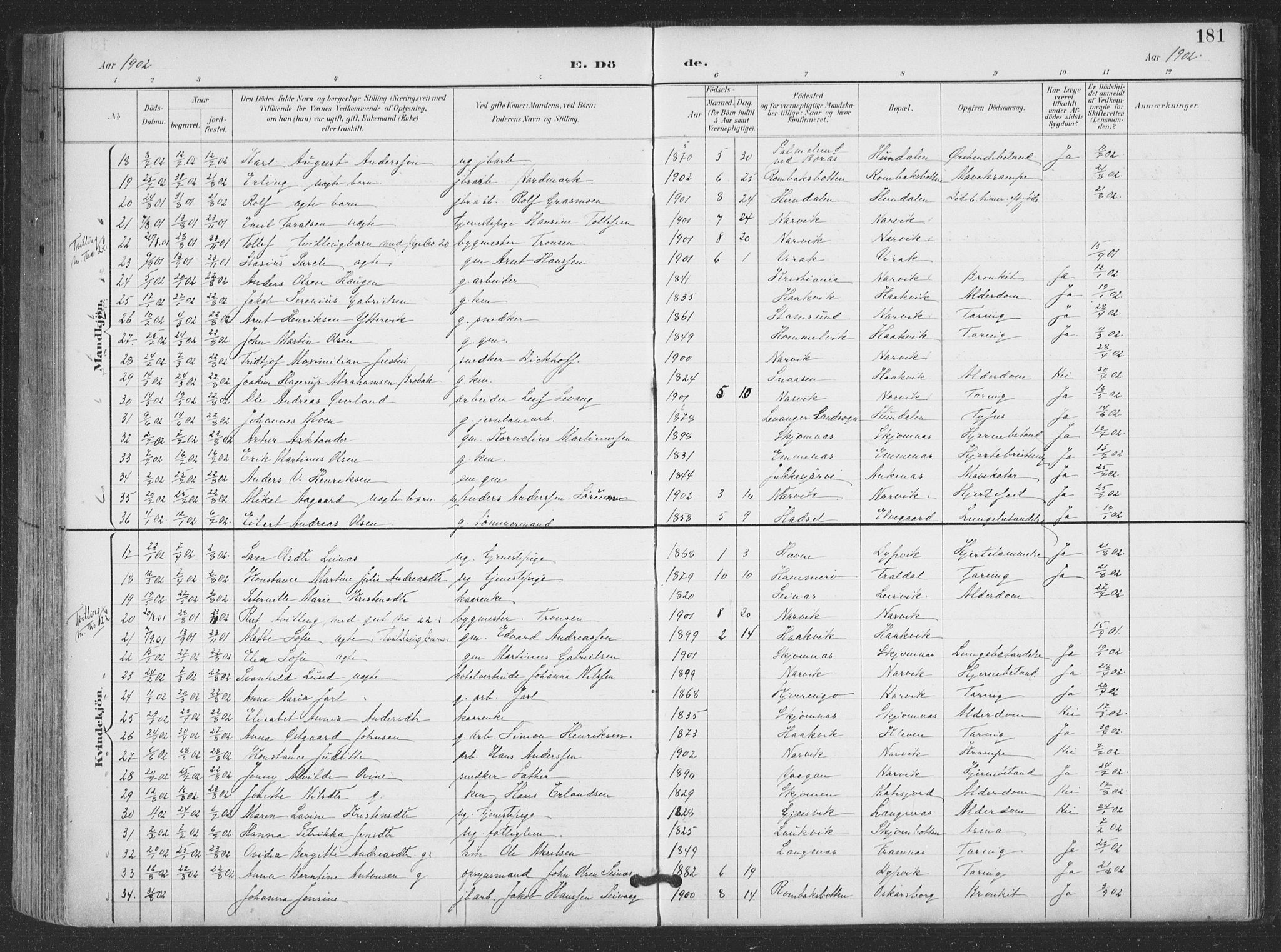 Ministerialprotokoller, klokkerbøker og fødselsregistre - Nordland, SAT/A-1459/866/L0939: Parish register (official) no. 866A02, 1894-1906, p. 181