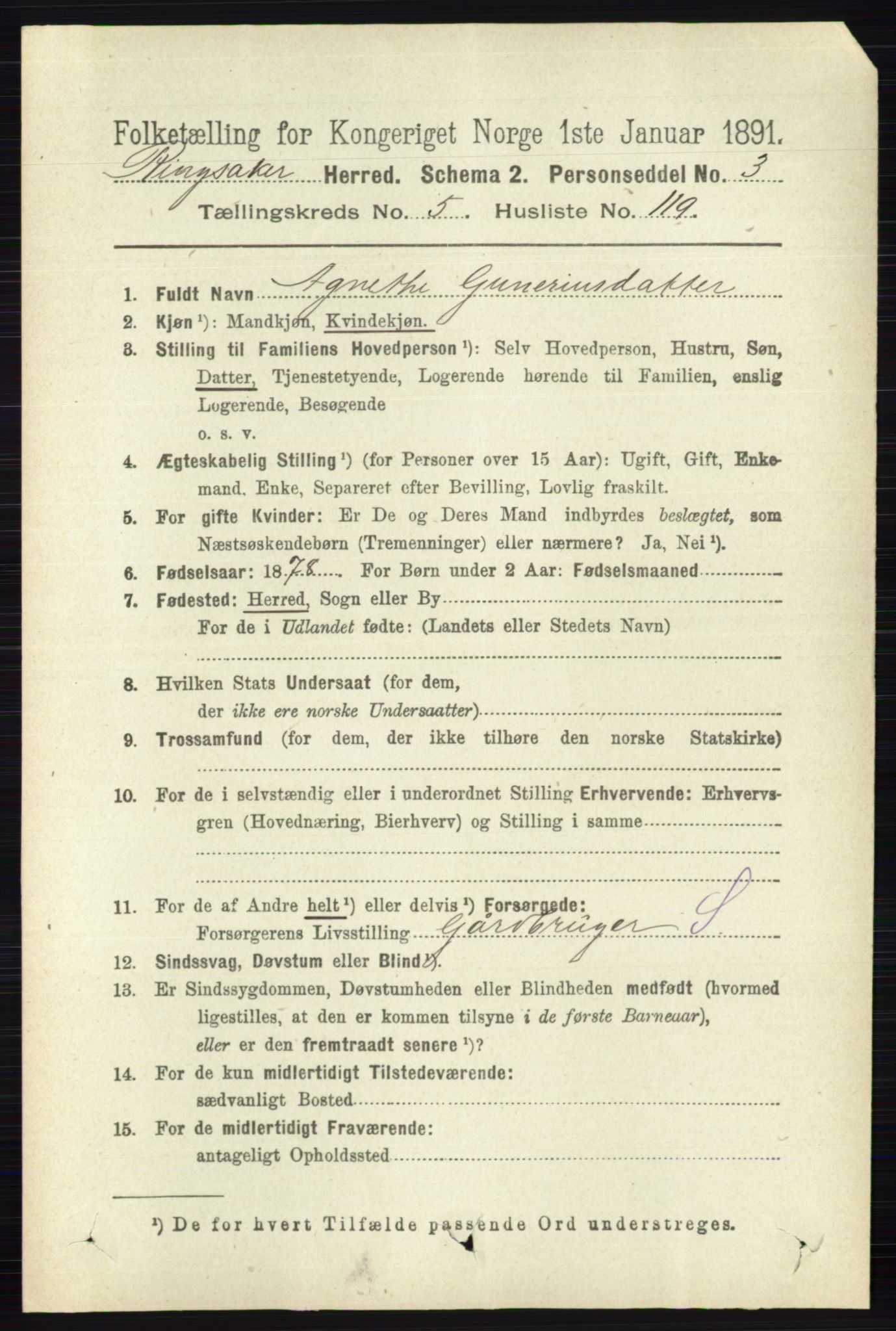 RA, 1891 census for 0412 Ringsaker, 1891, p. 3072