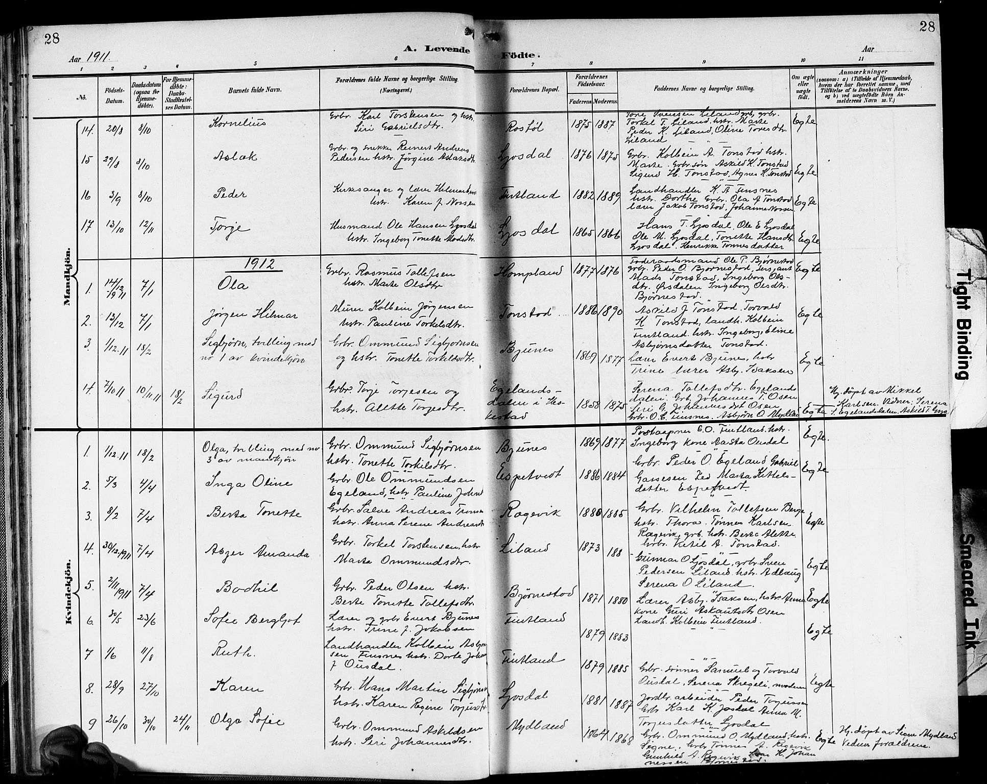 Sirdal sokneprestkontor, AV/SAK-1111-0036/F/Fb/Fbb/L0004: Parish register (copy) no. B 4, 1895-1916, p. 28