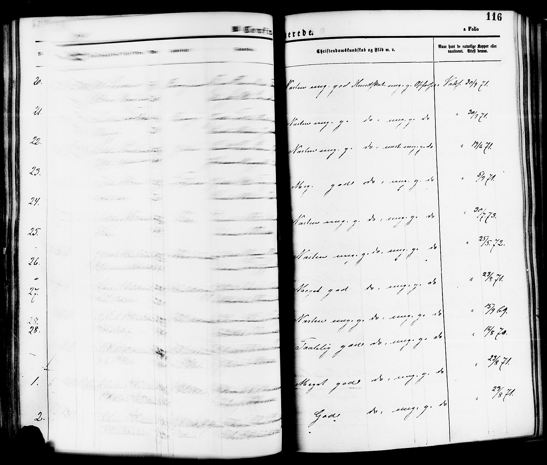 Nedstrand sokneprestkontor, SAST/A-101841/01/IV: Parish register (official) no. A 11, 1877-1887, p. 116