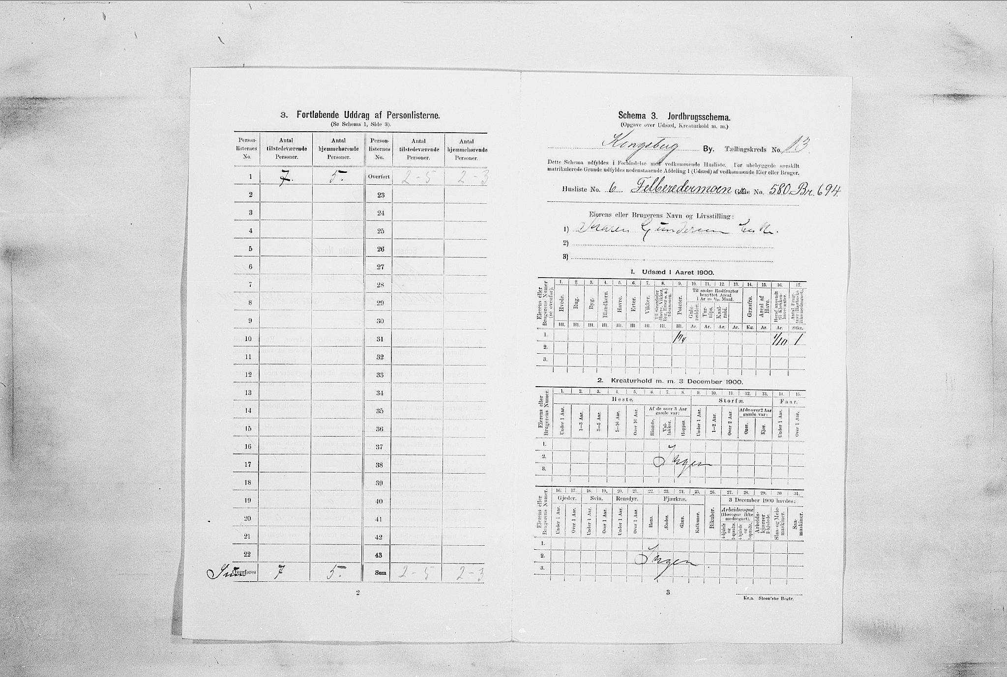 RA, 1900 census for Kongsberg, 1900, p. 2251